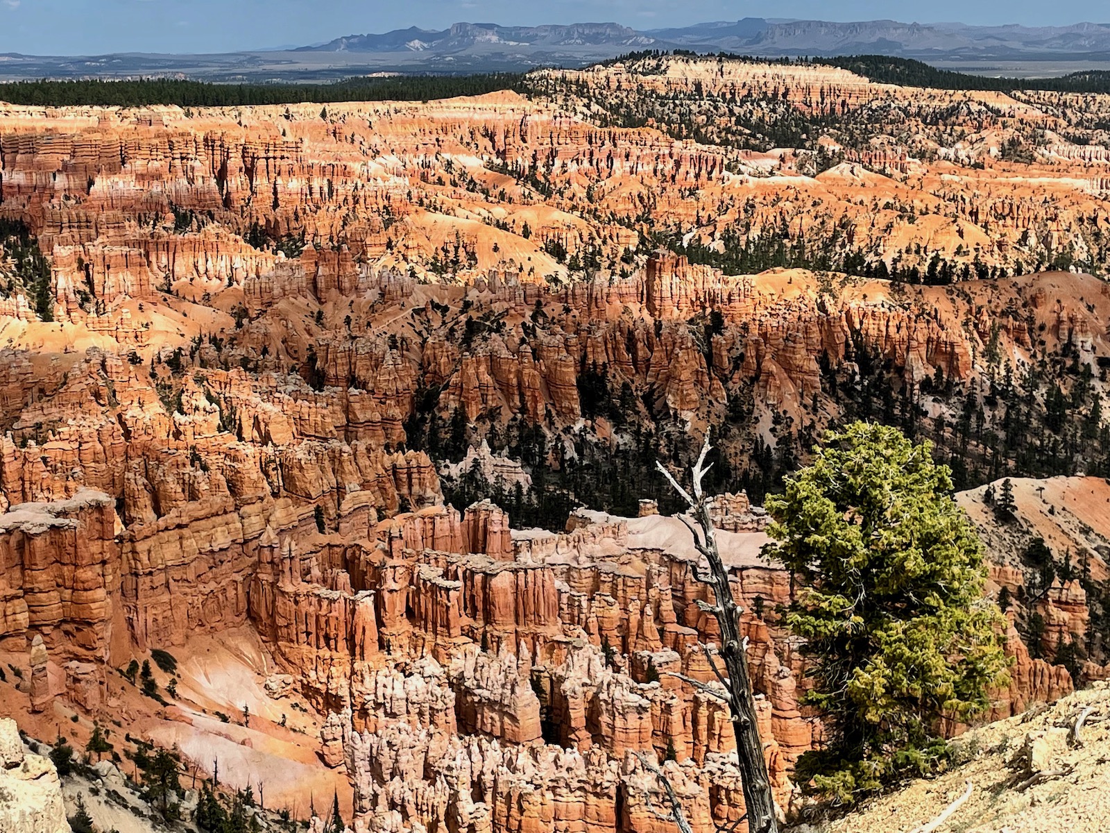 Zion and Bryce Canyon: Harmony in Majesty