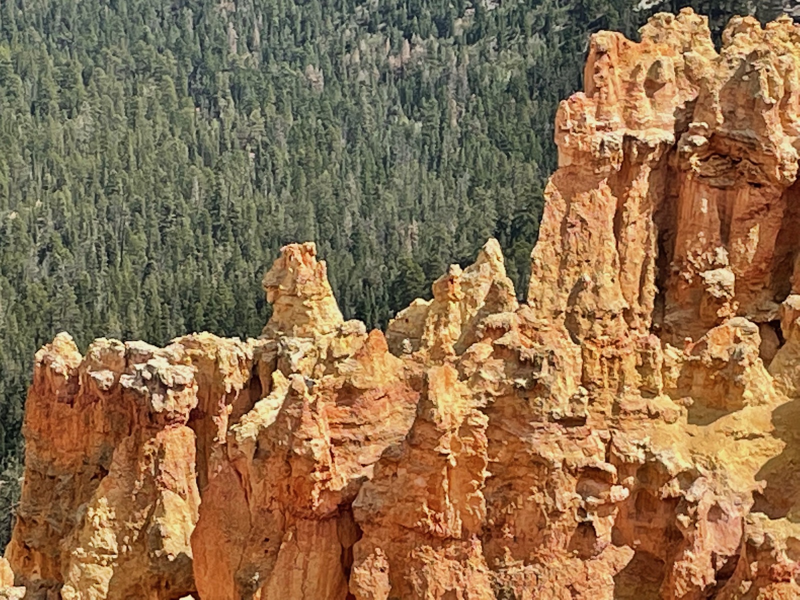 Zion and Bryce Canyon: Harmony in Majesty