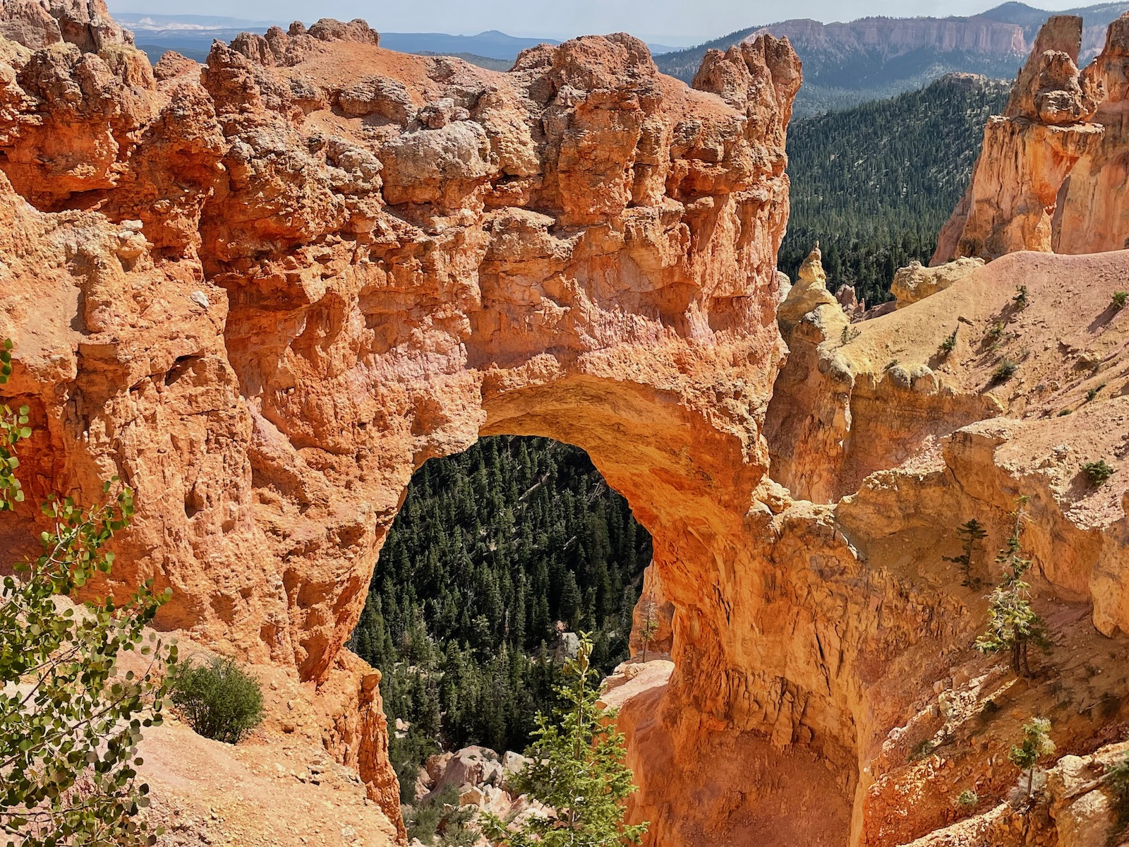 Zion and Bryce Canyon: Harmony in Majesty