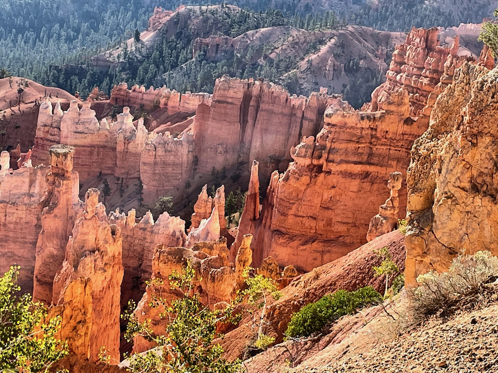 Zion and Bryce Canyon: Harmony in Majesty