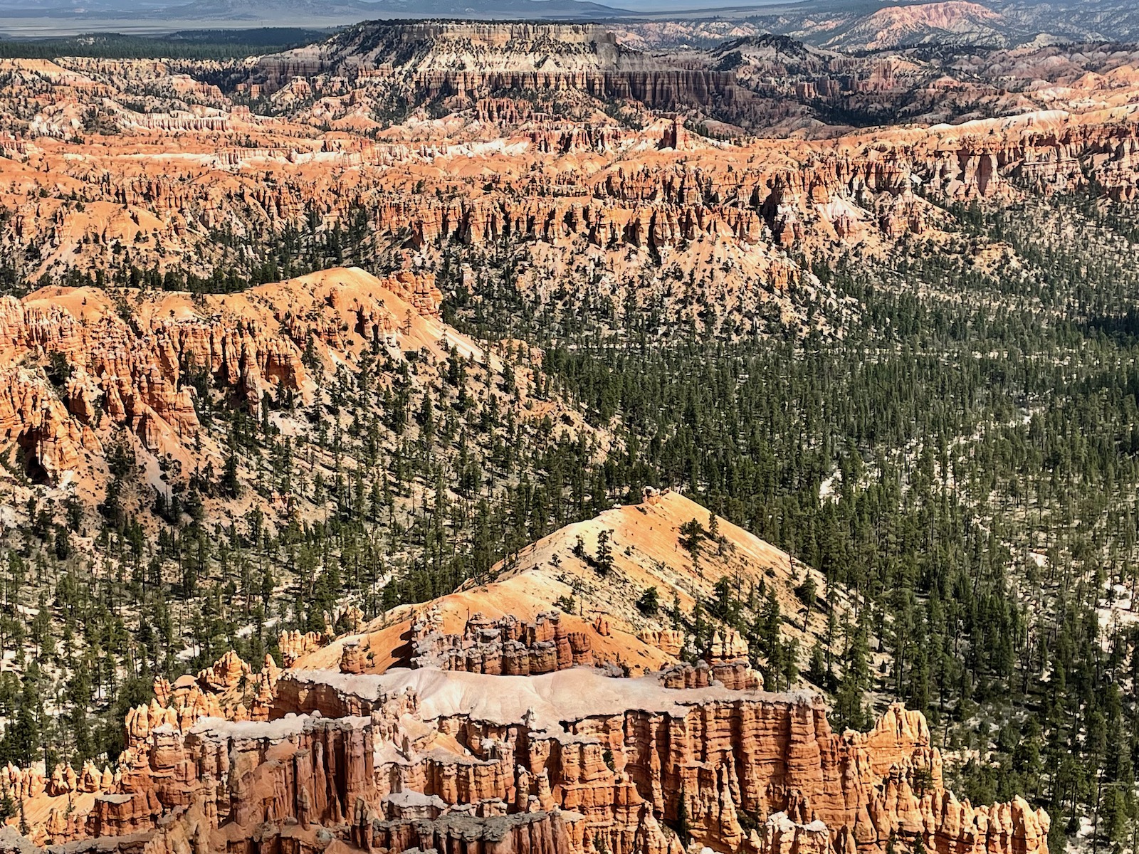 Zion and Bryce Canyon: Harmony in Majesty