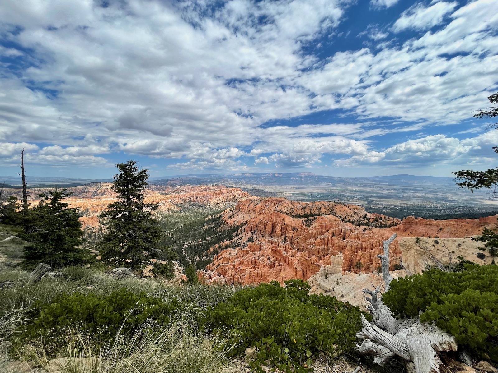 Zion and Bryce Canyon: Harmony in Majesty