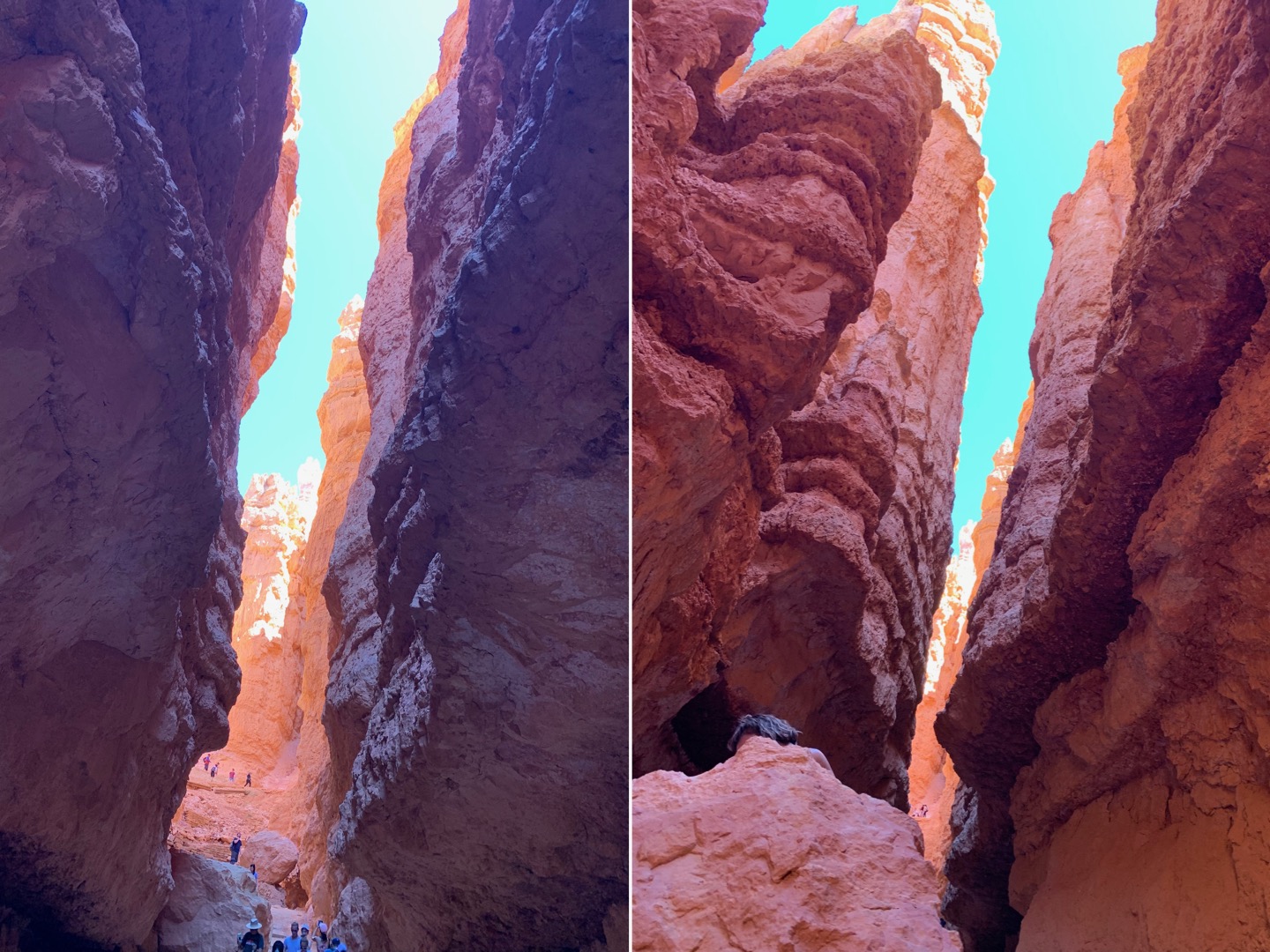 Zion and Bryce Canyon: Harmony in Majesty