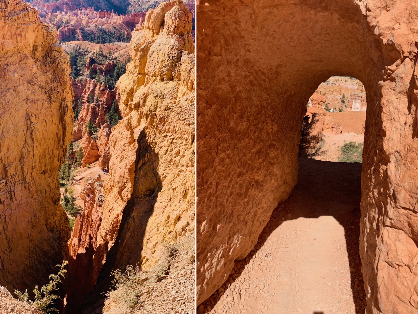 Zion and Bryce Canyon: Harmony in Majesty