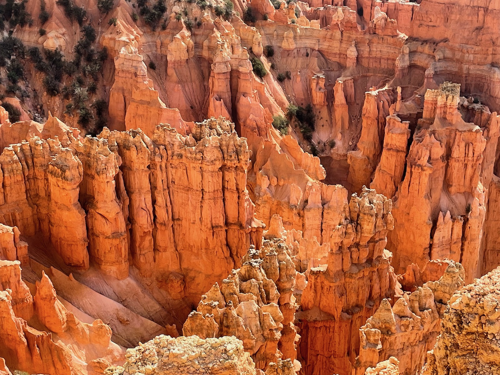 Zion and Bryce Canyon: Harmony in Majesty