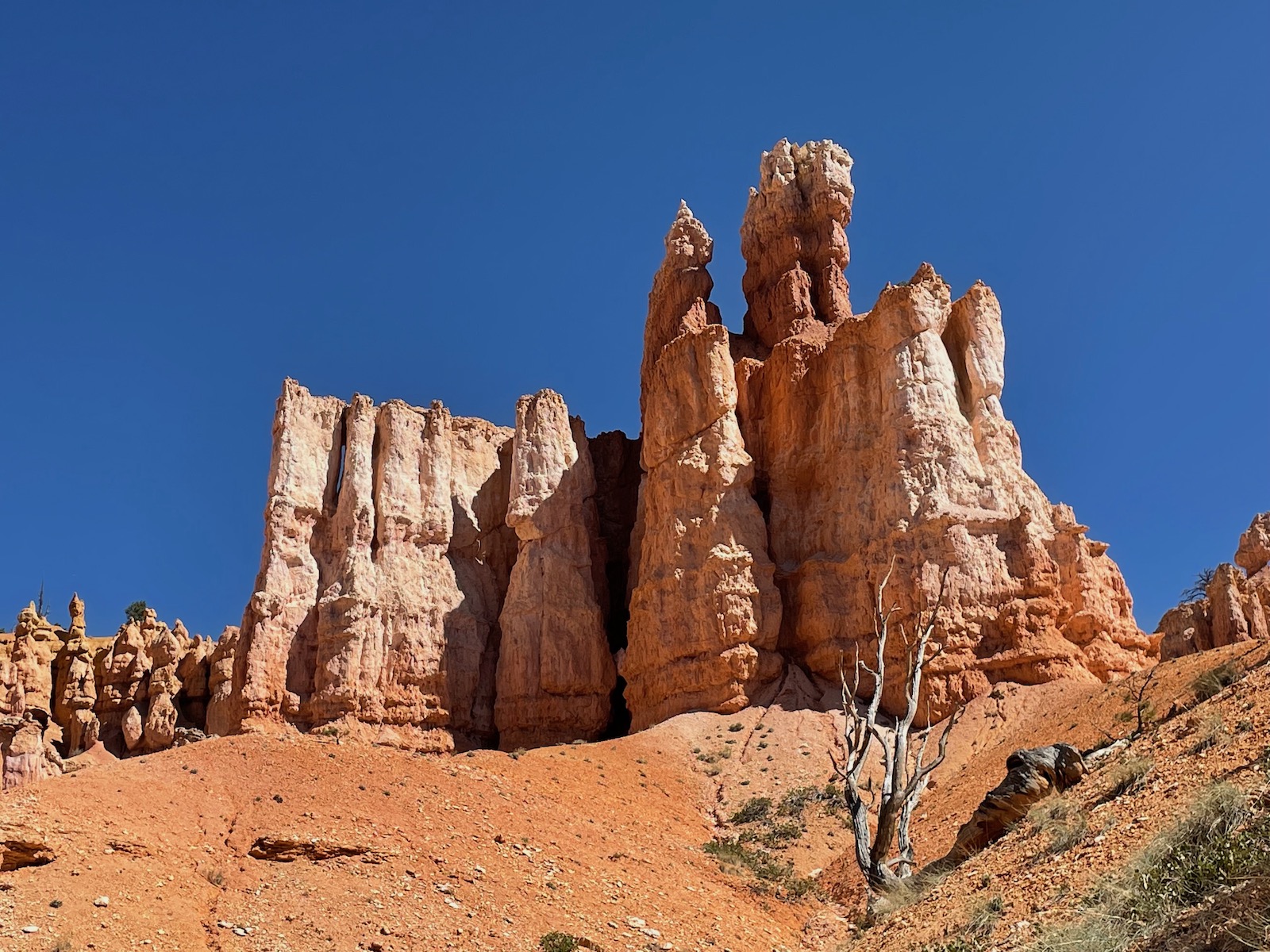 Zion and Bryce Canyon: Harmony in Majesty