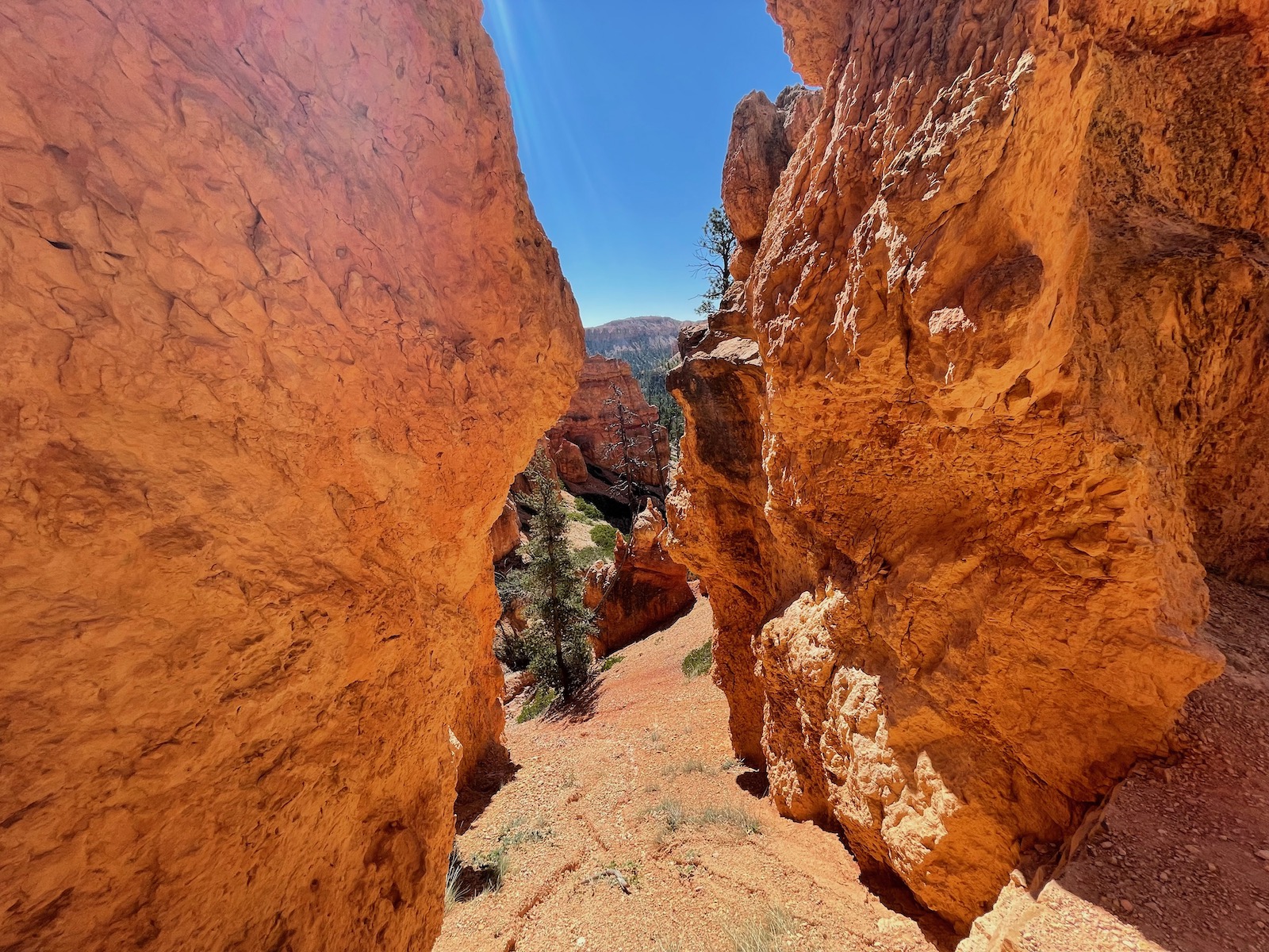 Zion and Bryce Canyon: Harmony in Majesty
