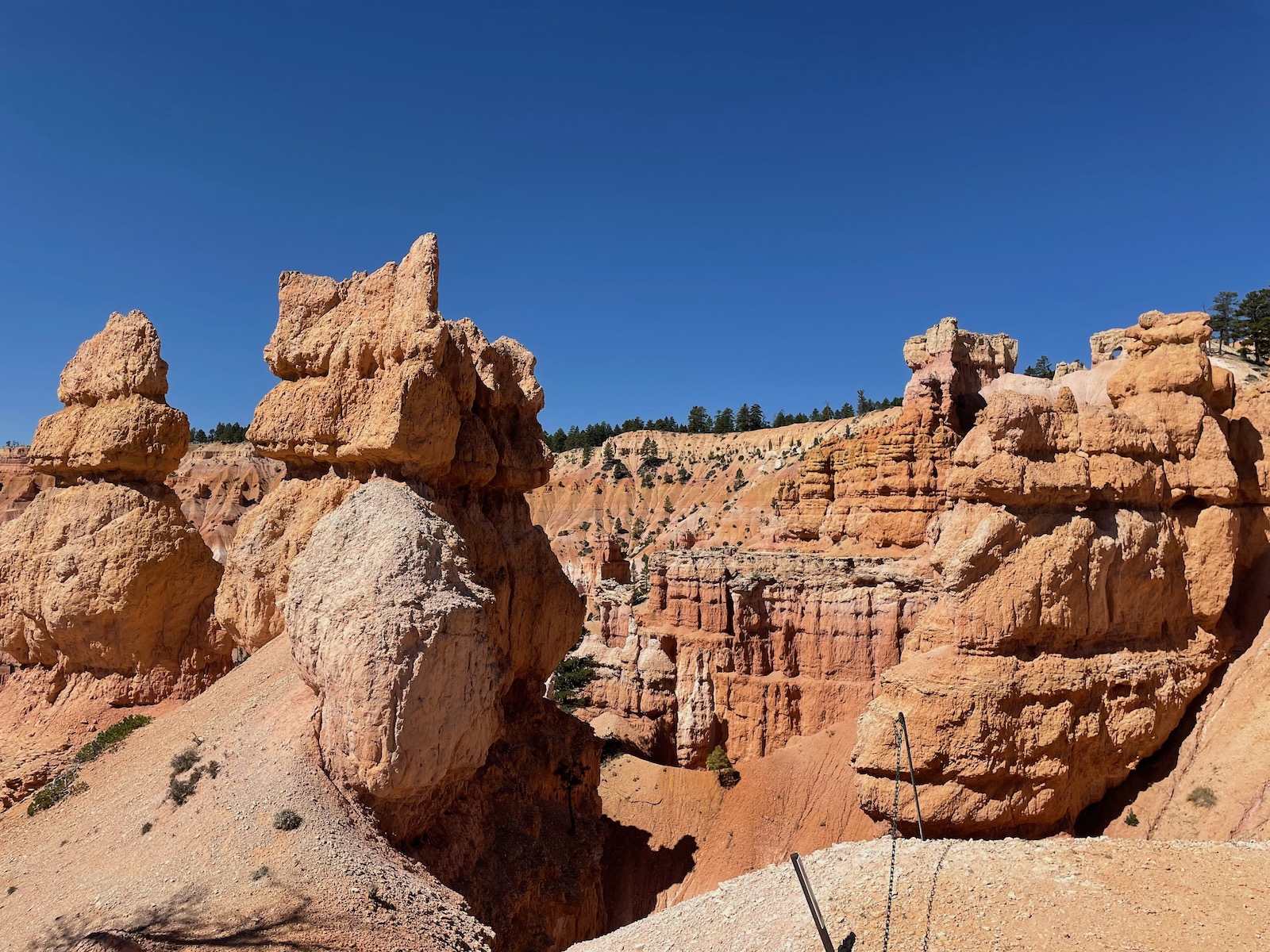 Zion and Bryce Canyon: Harmony in Majesty