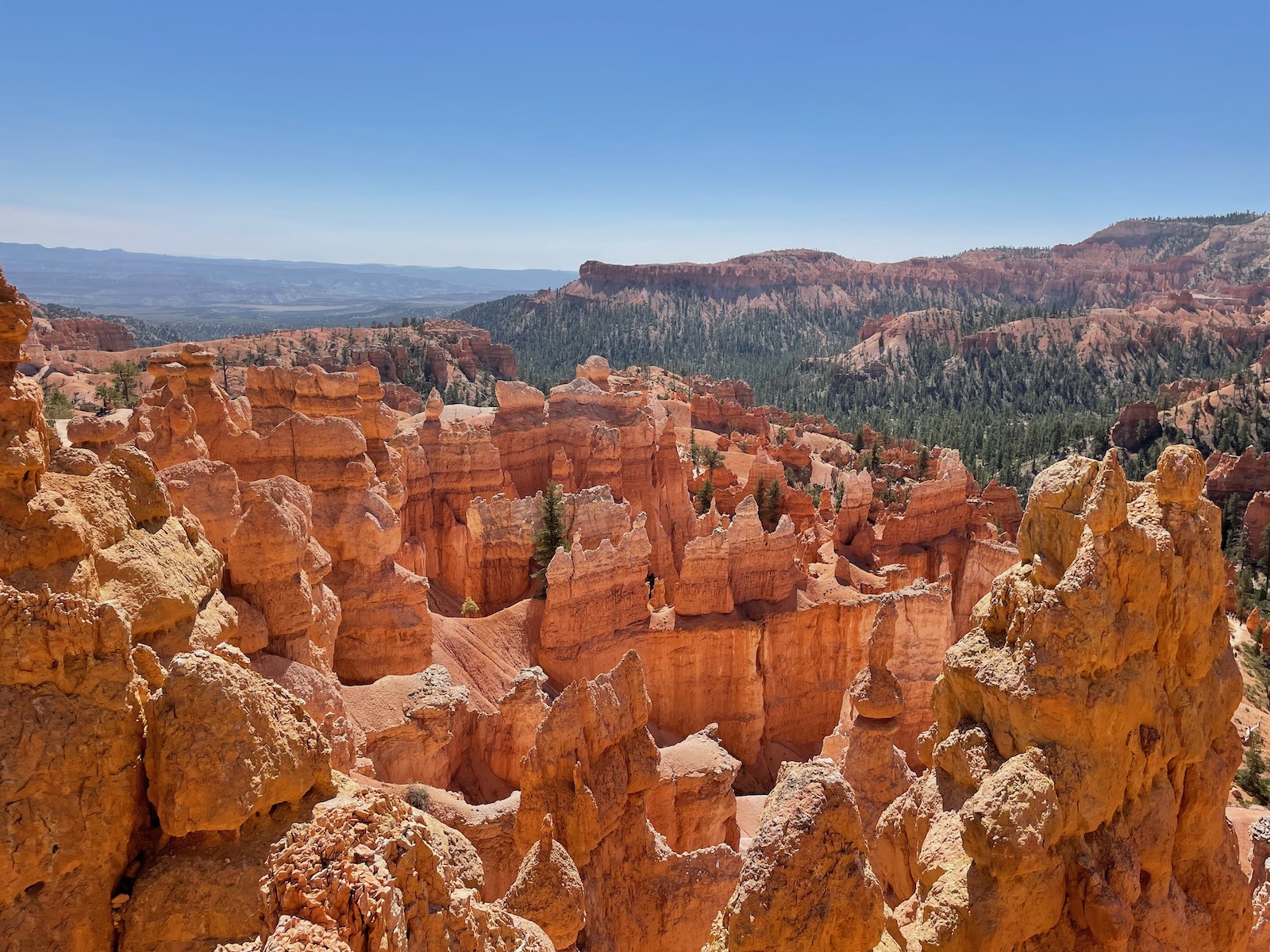 Zion and Bryce Canyon: Harmony in Majesty