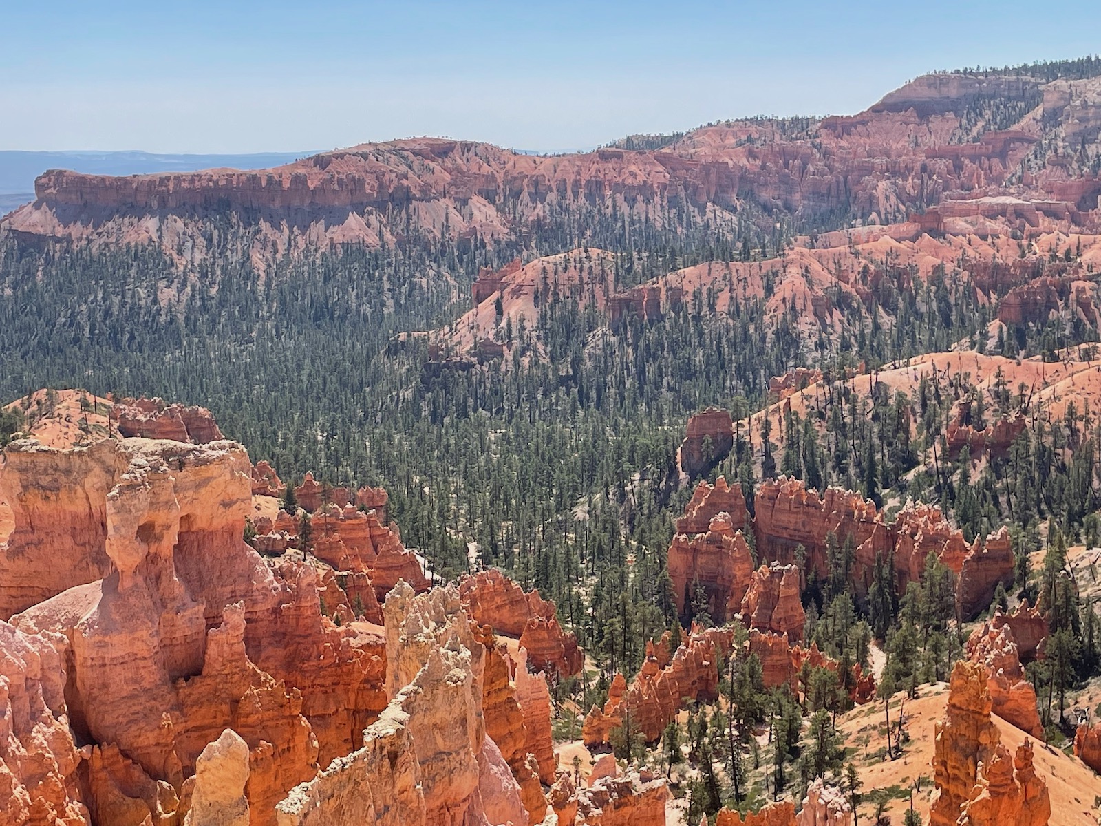 Zion and Bryce Canyon: Harmony in Majesty