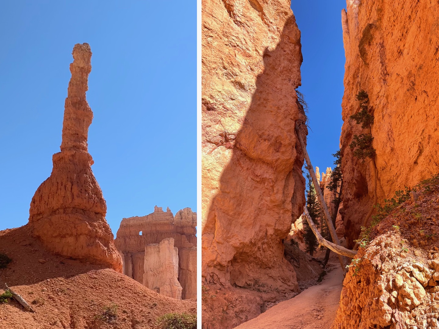 Zion and Bryce Canyon: Harmony in Majesty