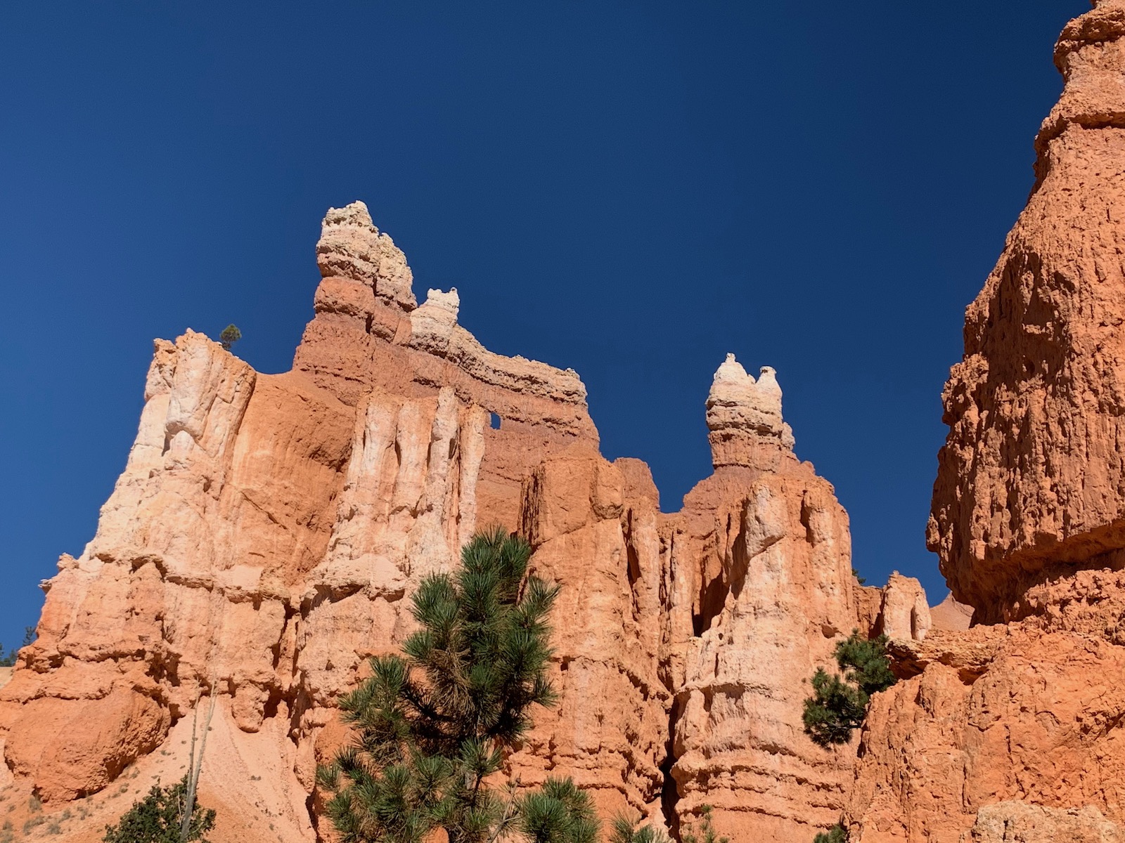 Zion and Bryce Canyon: Harmony in Majesty