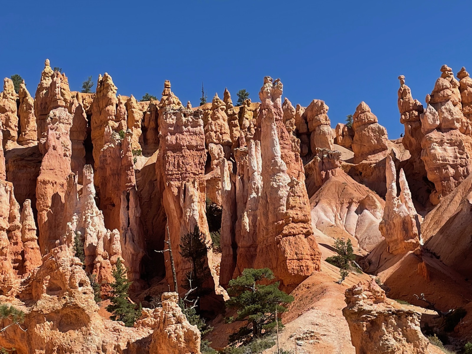 Zion and Bryce Canyon: Harmony in Majesty