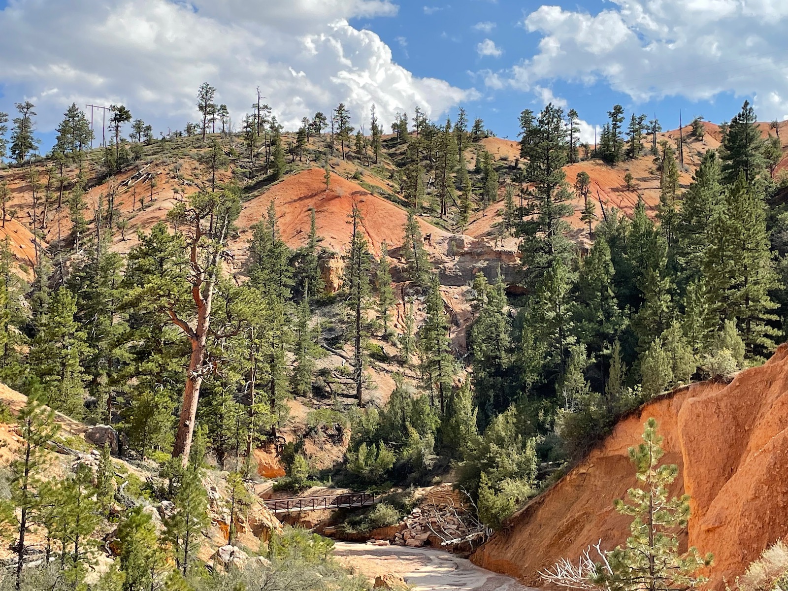 Zion and Bryce Canyon: Harmony in Majesty