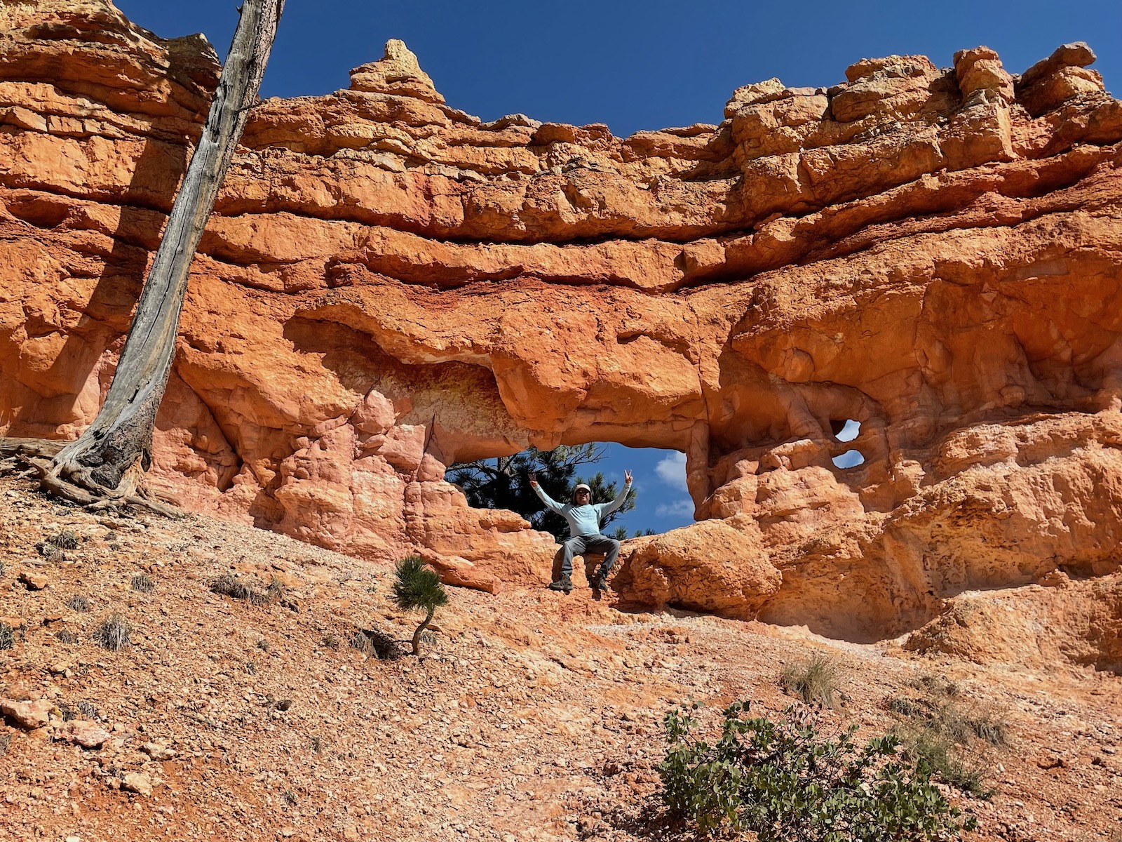 Zion and Bryce Canyon: Harmony in Majesty