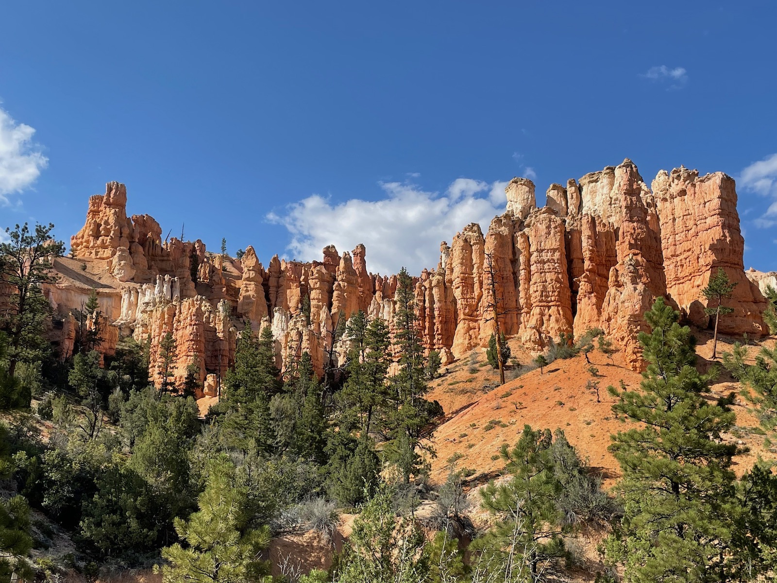 Zion and Bryce Canyon: Harmony in Majesty