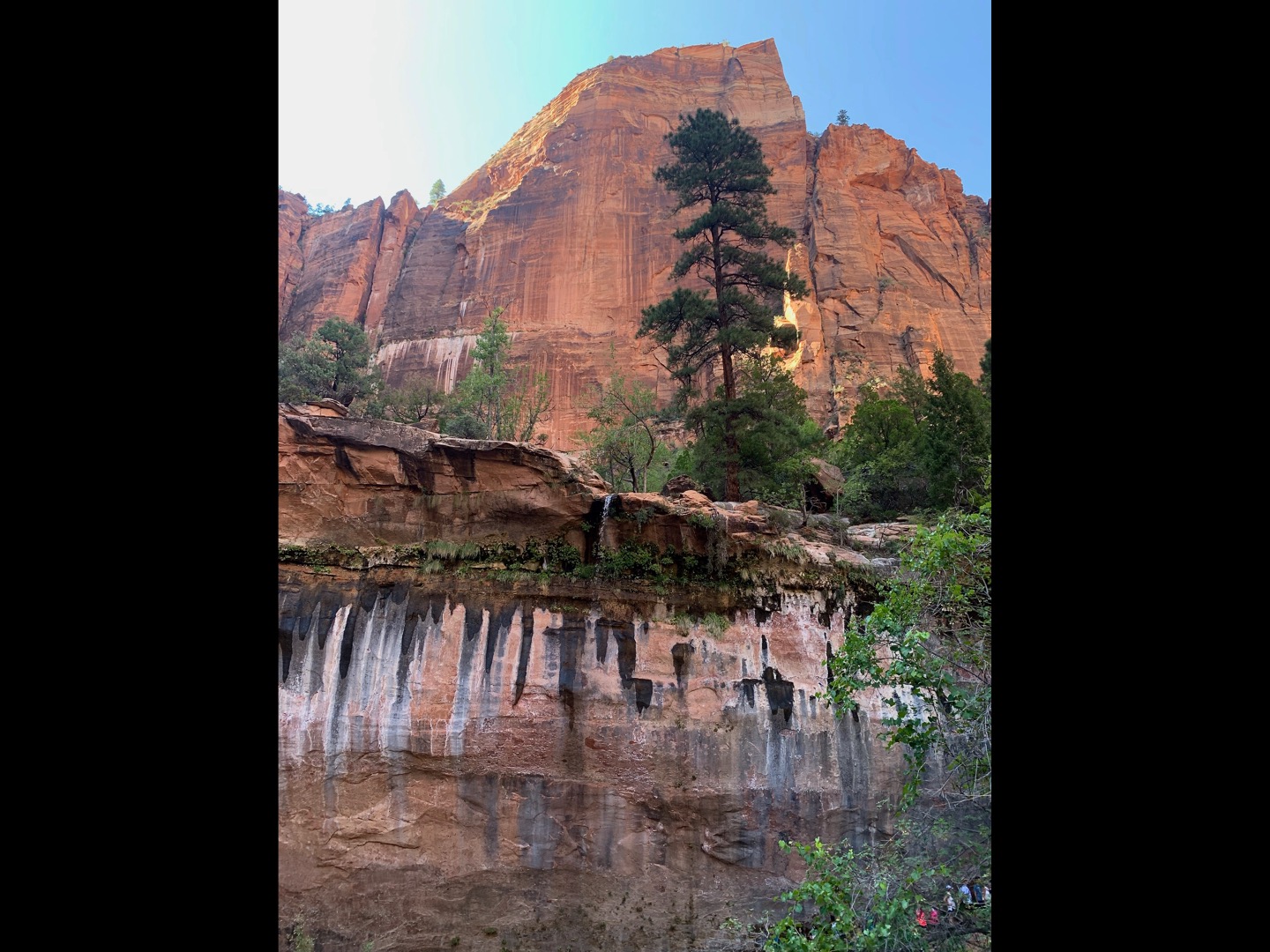 Zion and Bryce Canyon: Harmony in Majesty