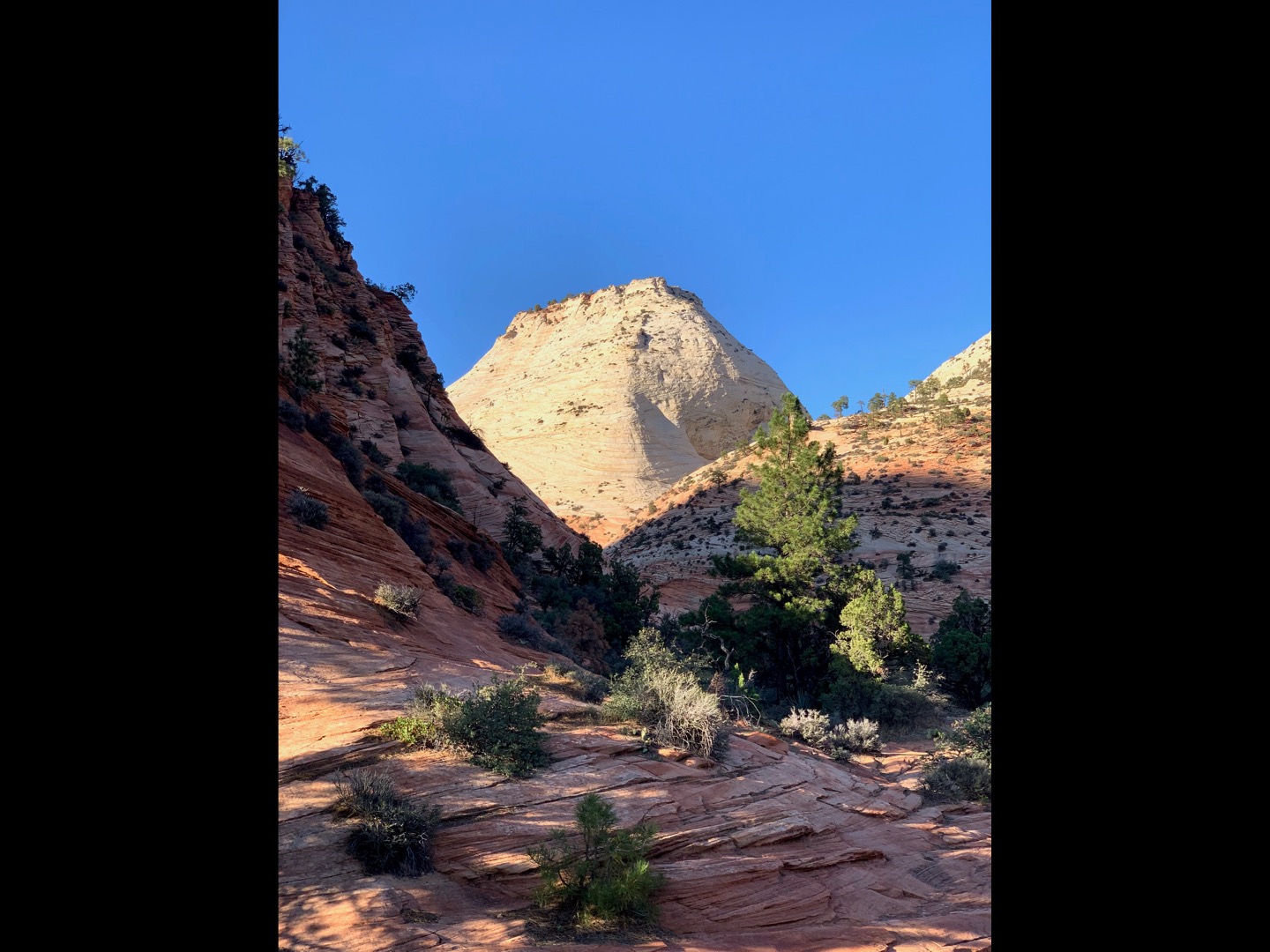 Zion and Bryce Canyon: Harmony in Majesty
