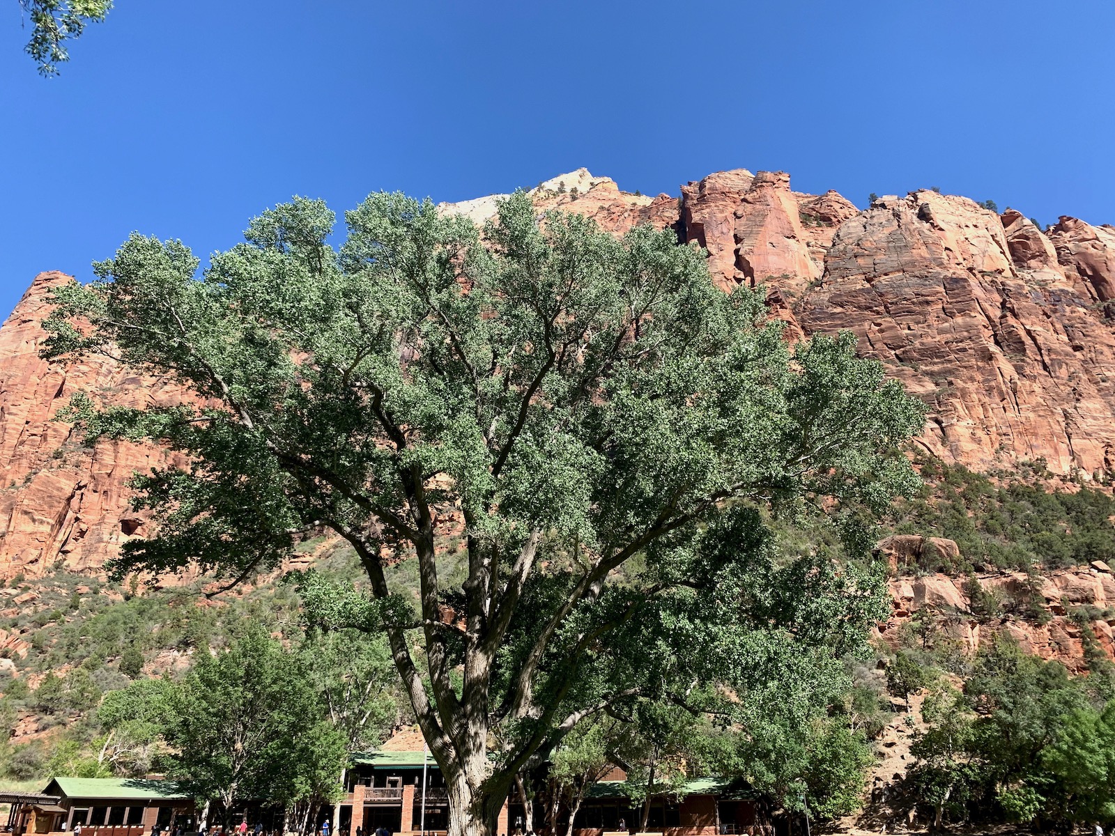 Zion and Bryce Canyon: Harmony in Majesty
