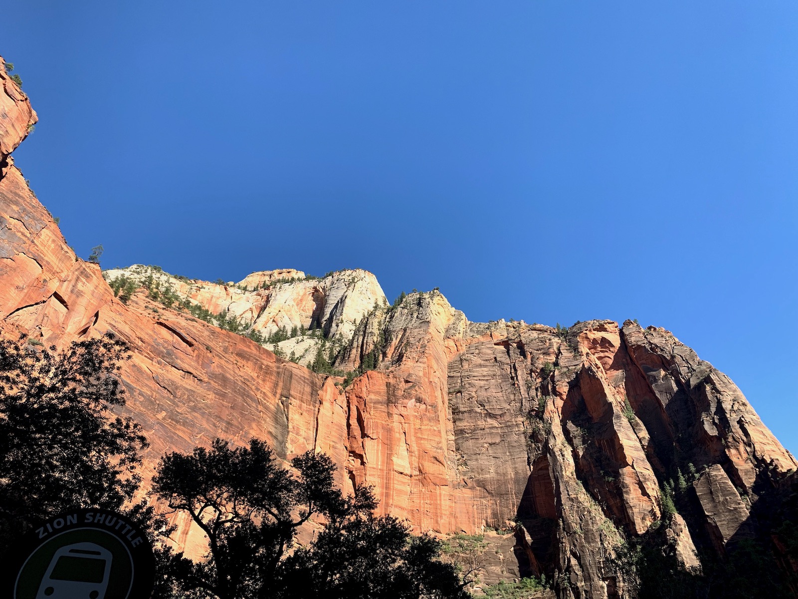 Zion and Bryce Canyon: Harmony in Majesty