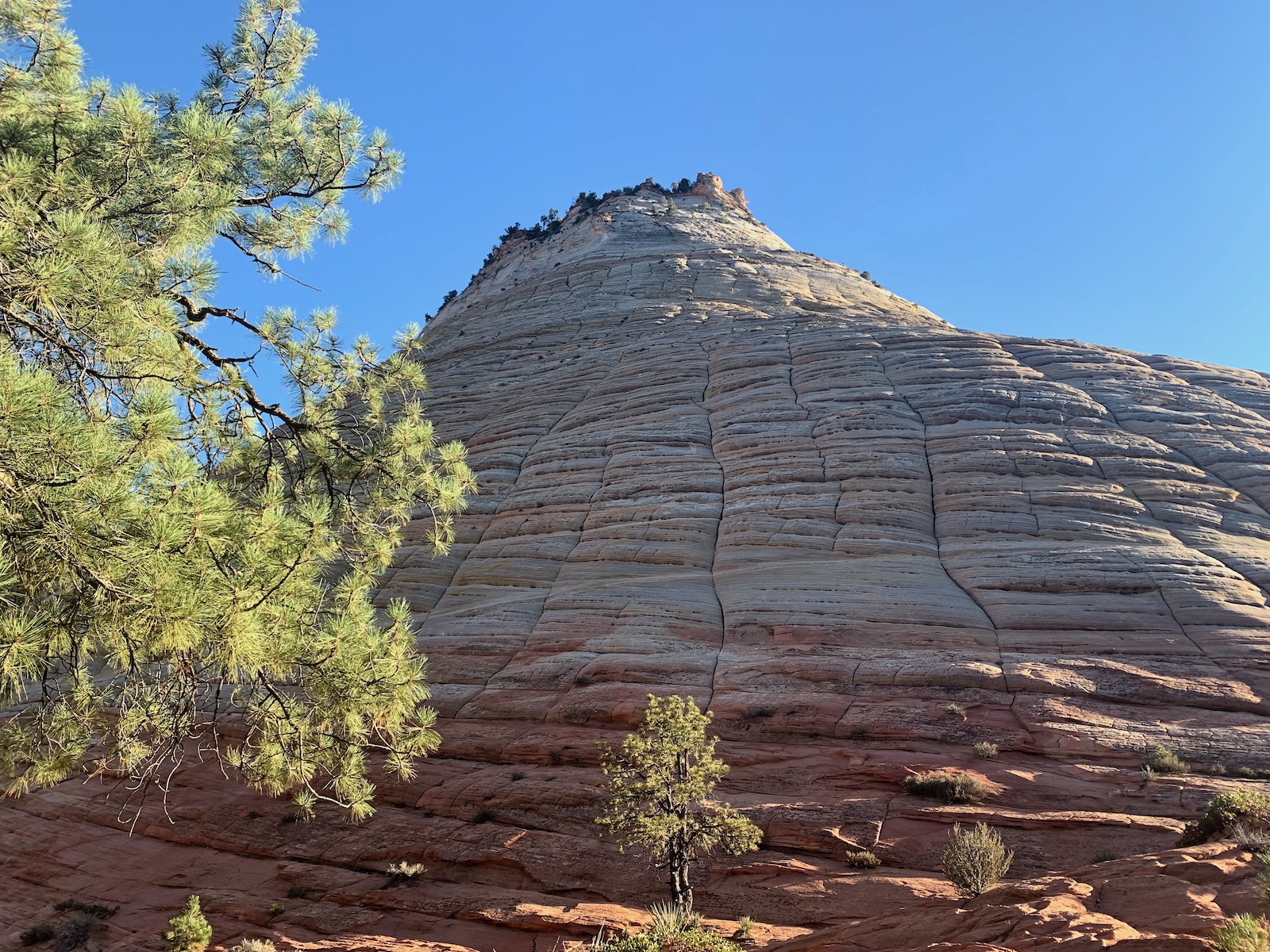 Zion and Bryce Canyon: Harmony in Majesty
