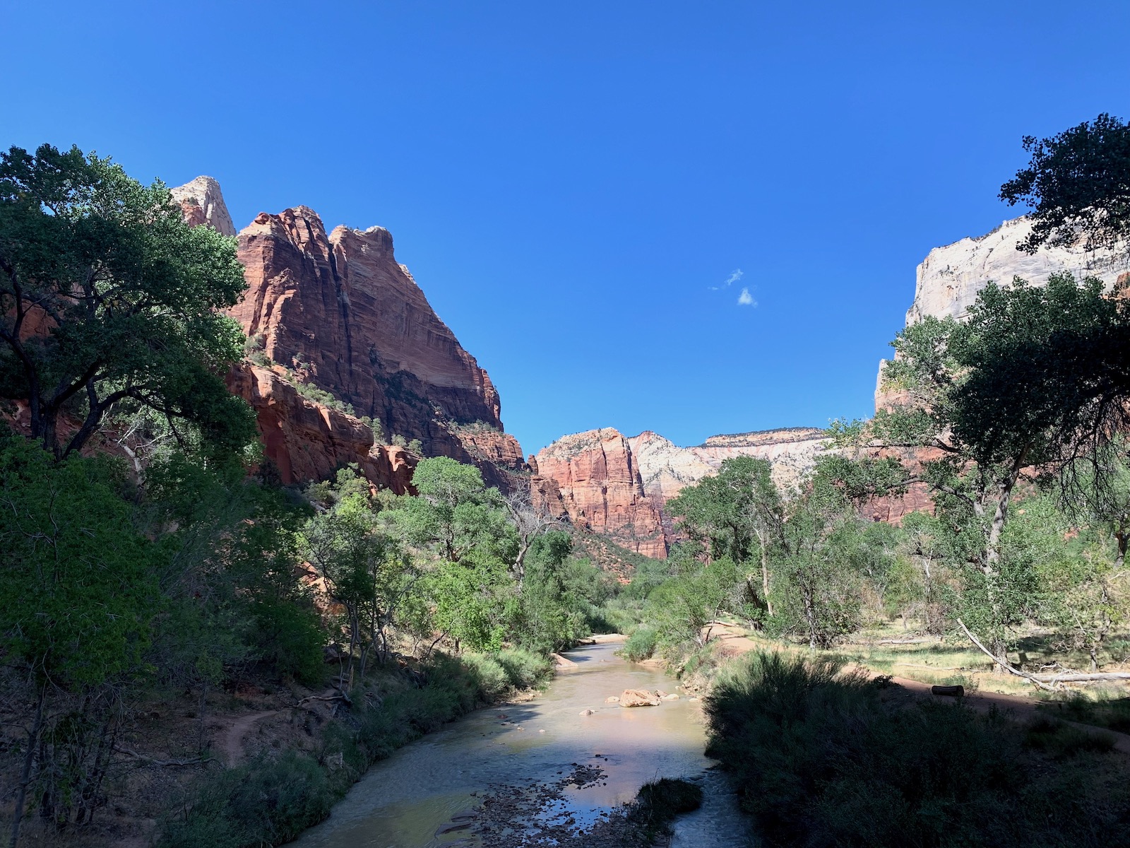 Zion and Bryce Canyon: Harmony in Majesty