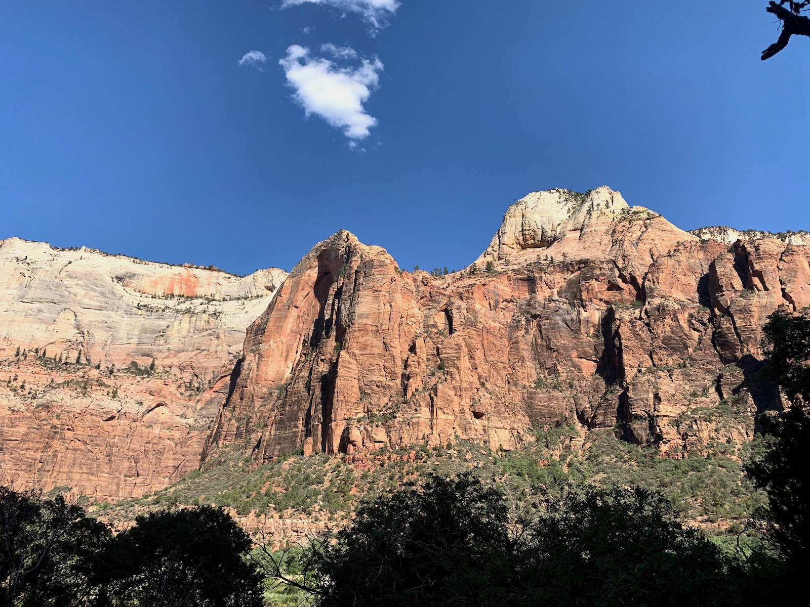 Zion and Bryce Canyon: Harmony in Majesty