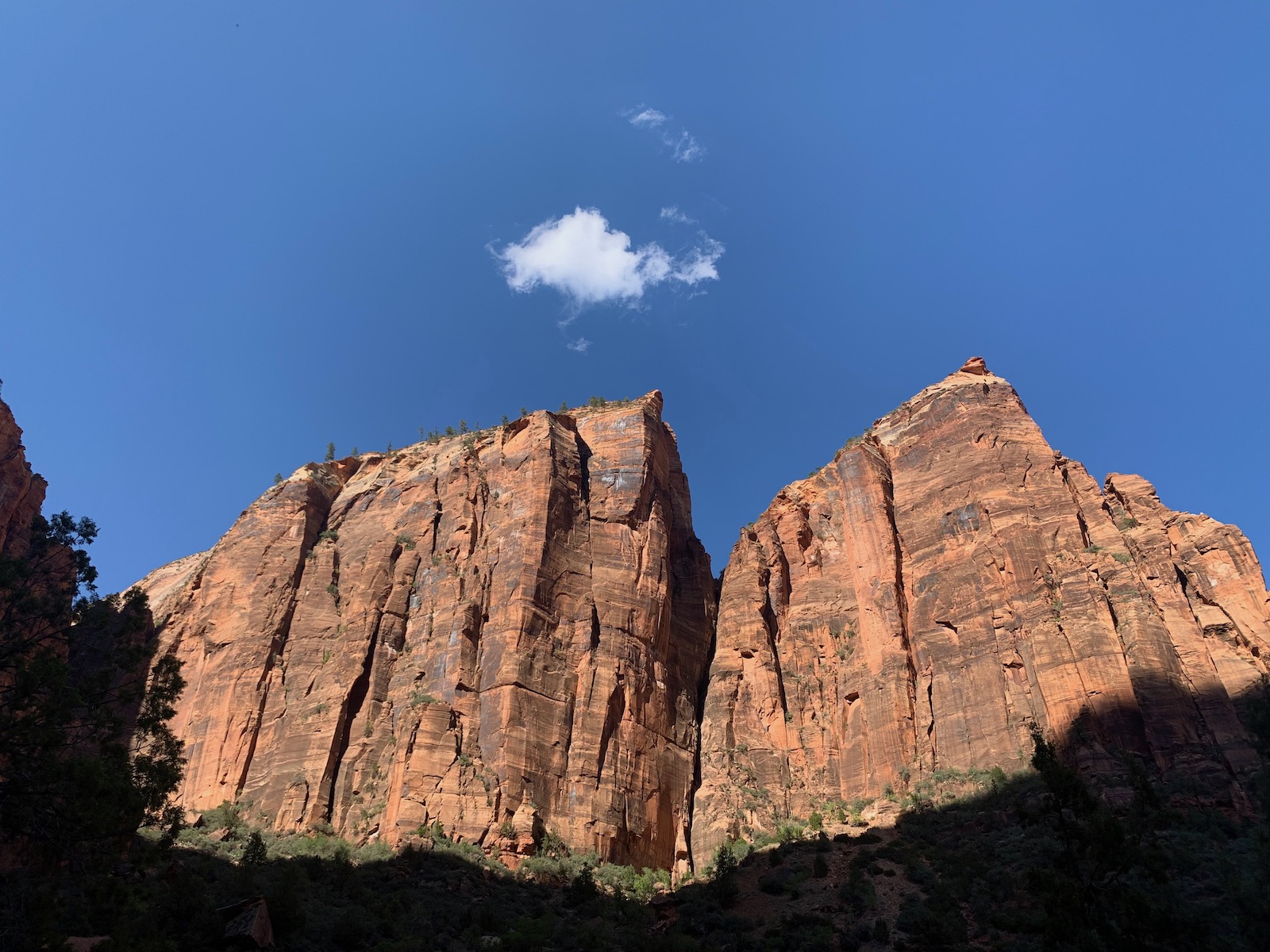 Zion and Bryce Canyon: Harmony in Majesty