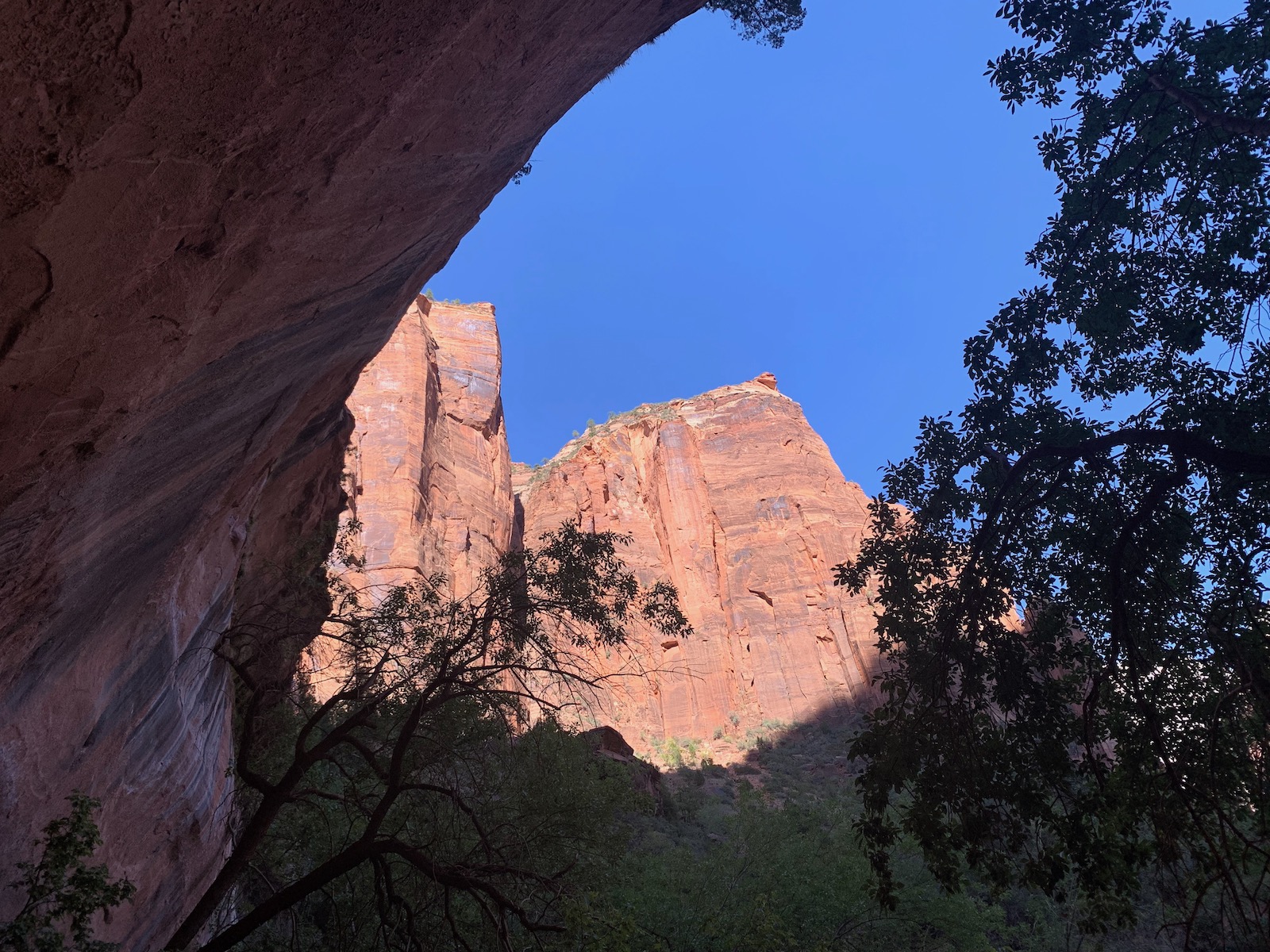 Zion and Bryce Canyon: Harmony in Majesty