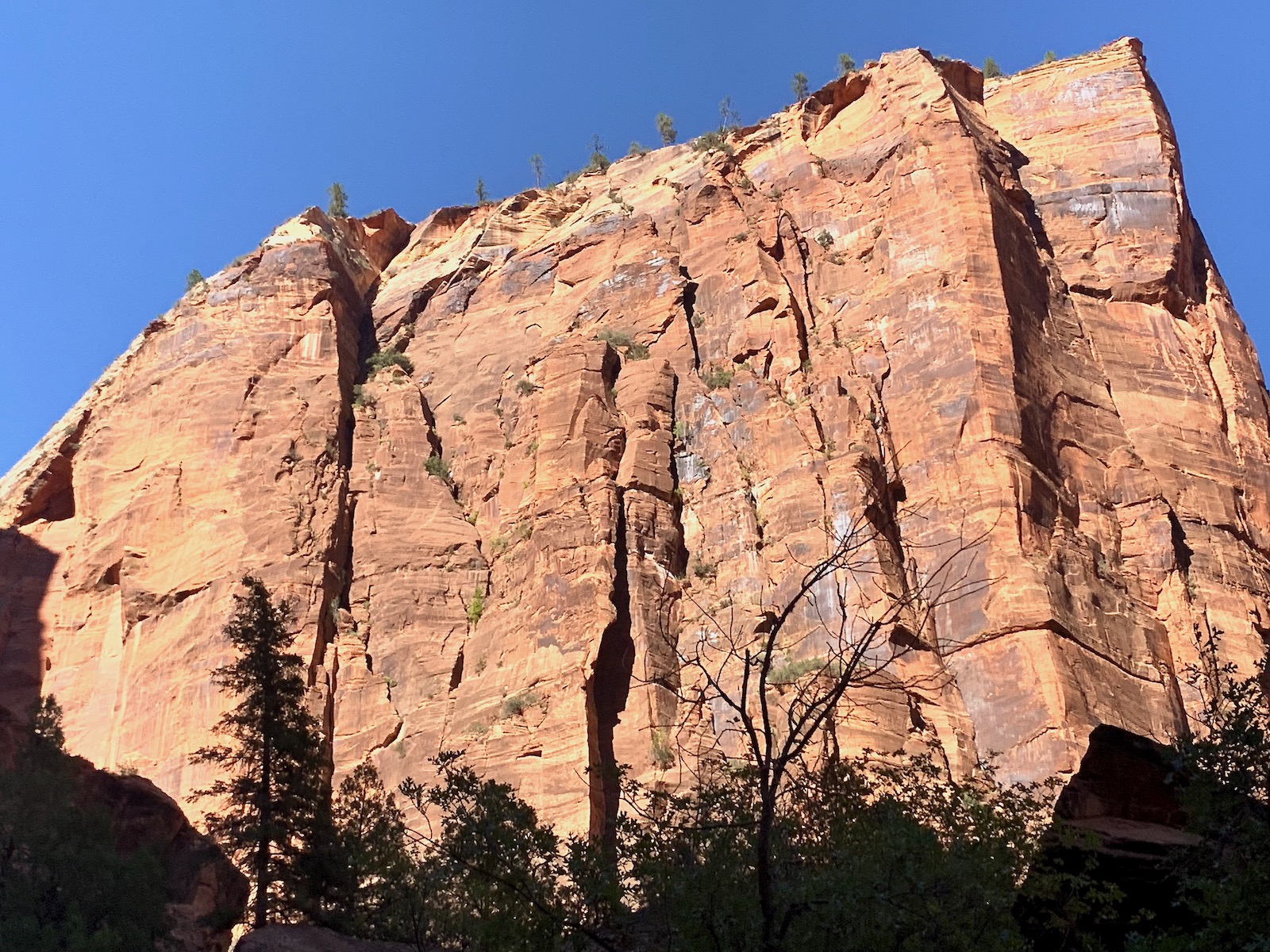 Zion and Bryce Canyon: Harmony in Majesty