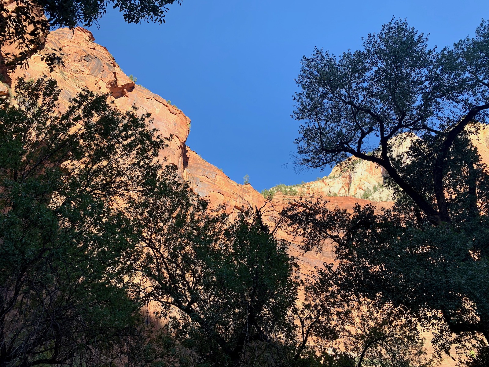 Zion and Bryce Canyon: Harmony in Majesty