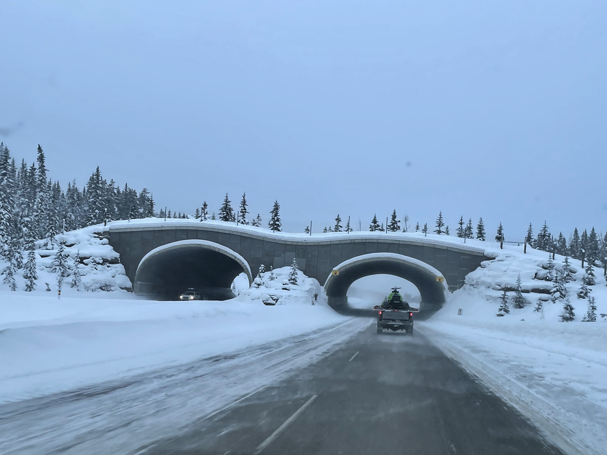 Snowy – Soothing – Stunning: Splendor of the Canadian Rockies