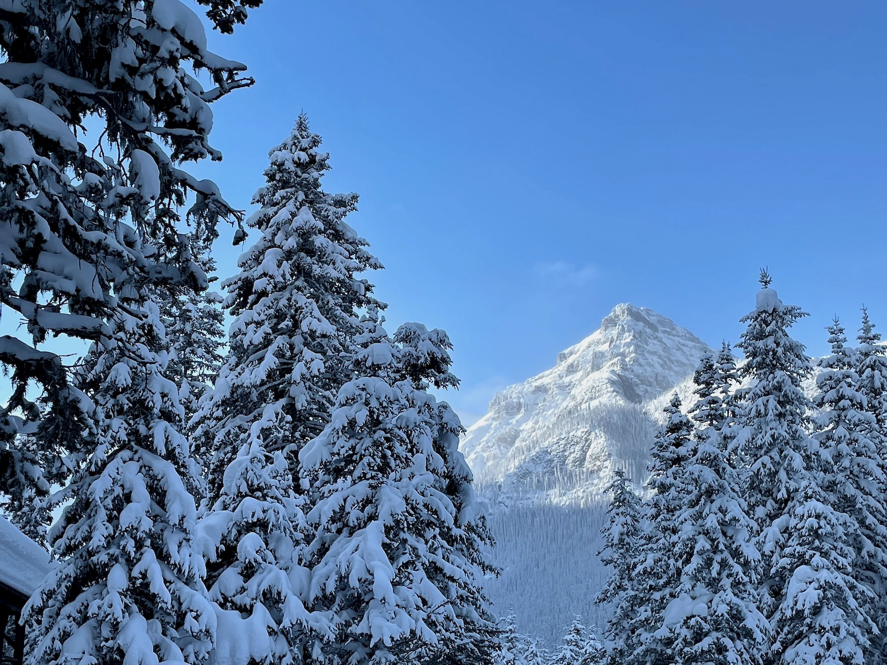 Snowy – Soothing – Stunning: Splendor of the Canadian Rockies