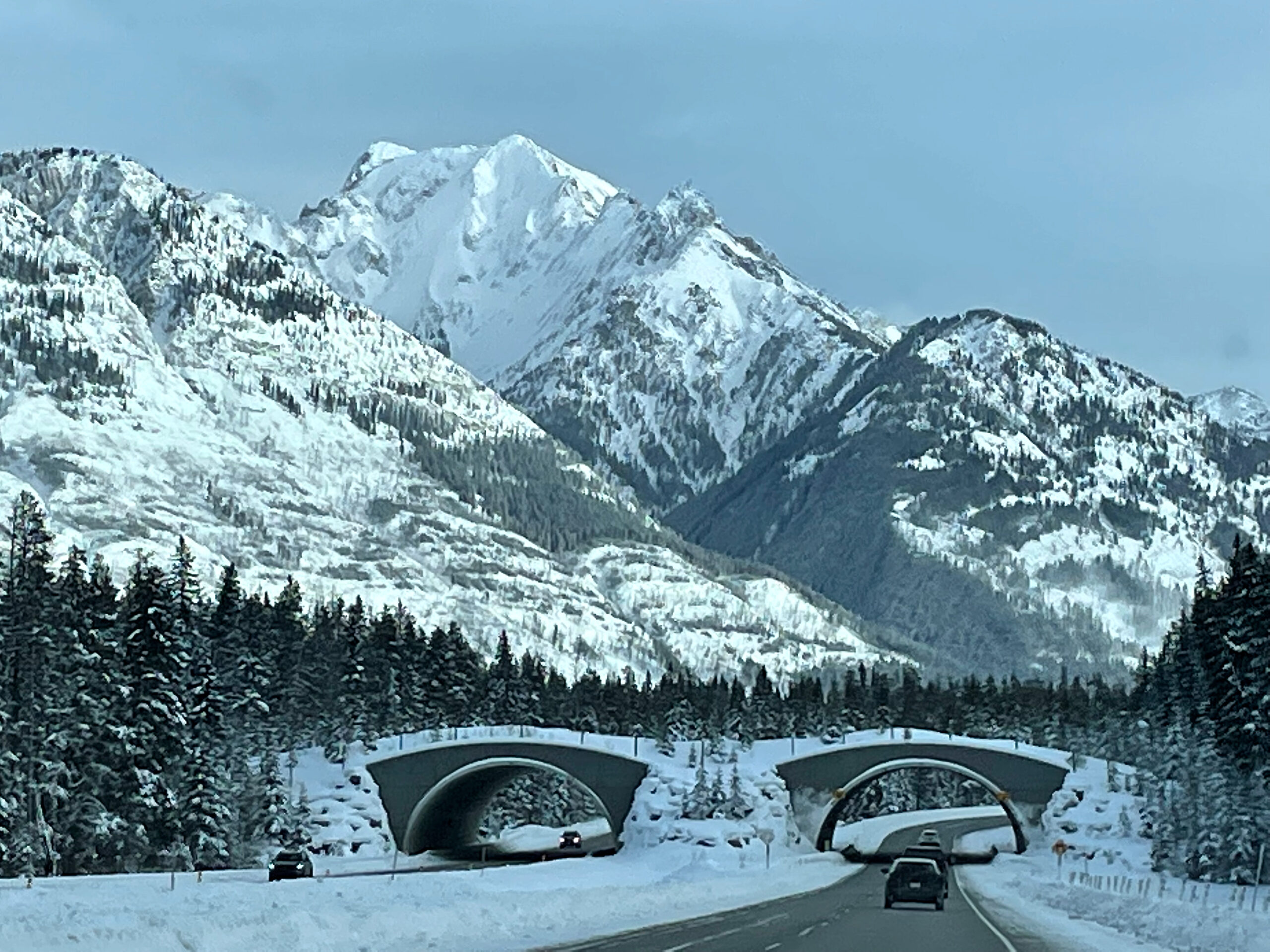 Snowy – Soothing – Stunning: Splendor of the Canadian Rockies
