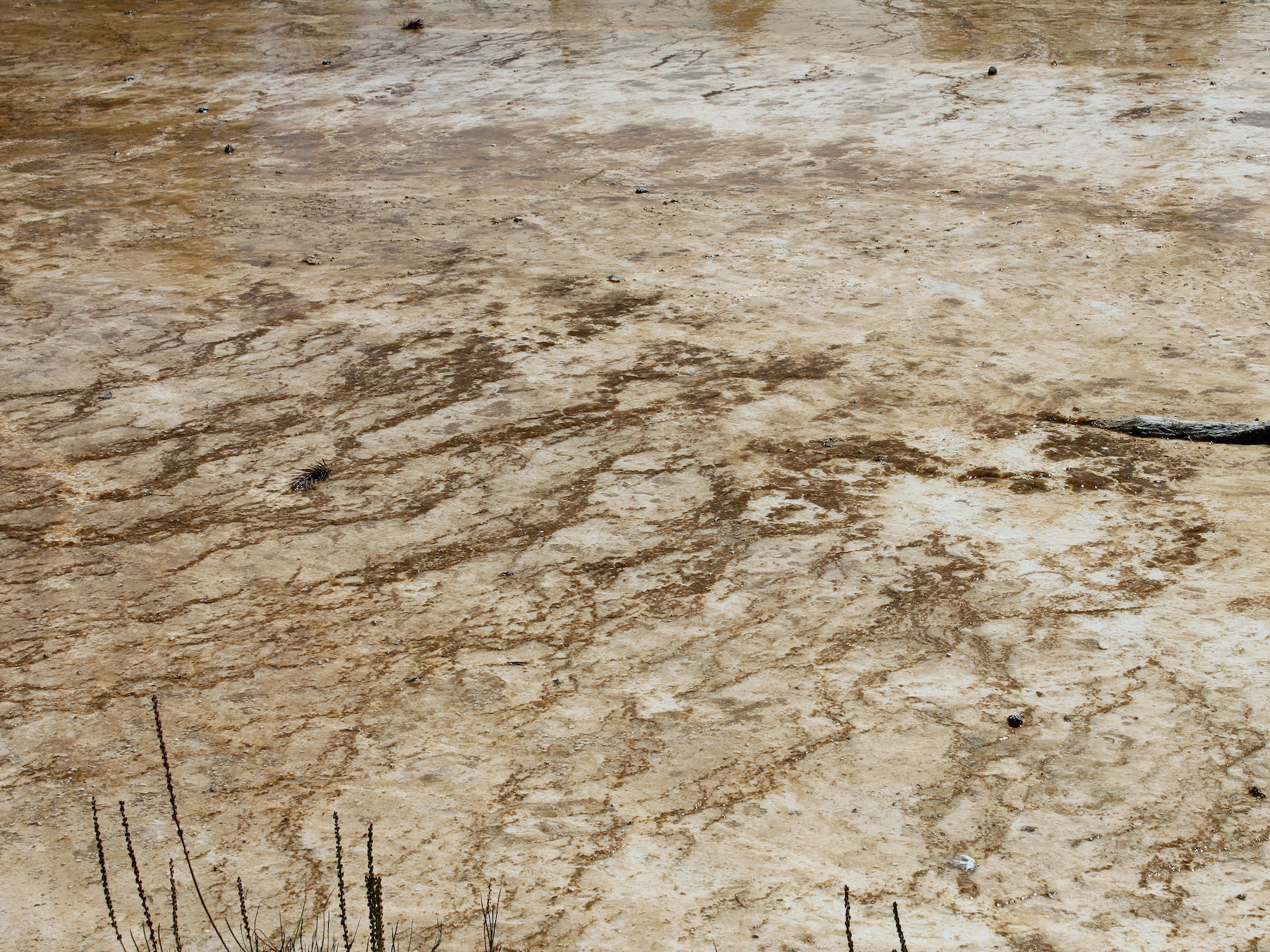 Yellowstone: A Fiery Nature