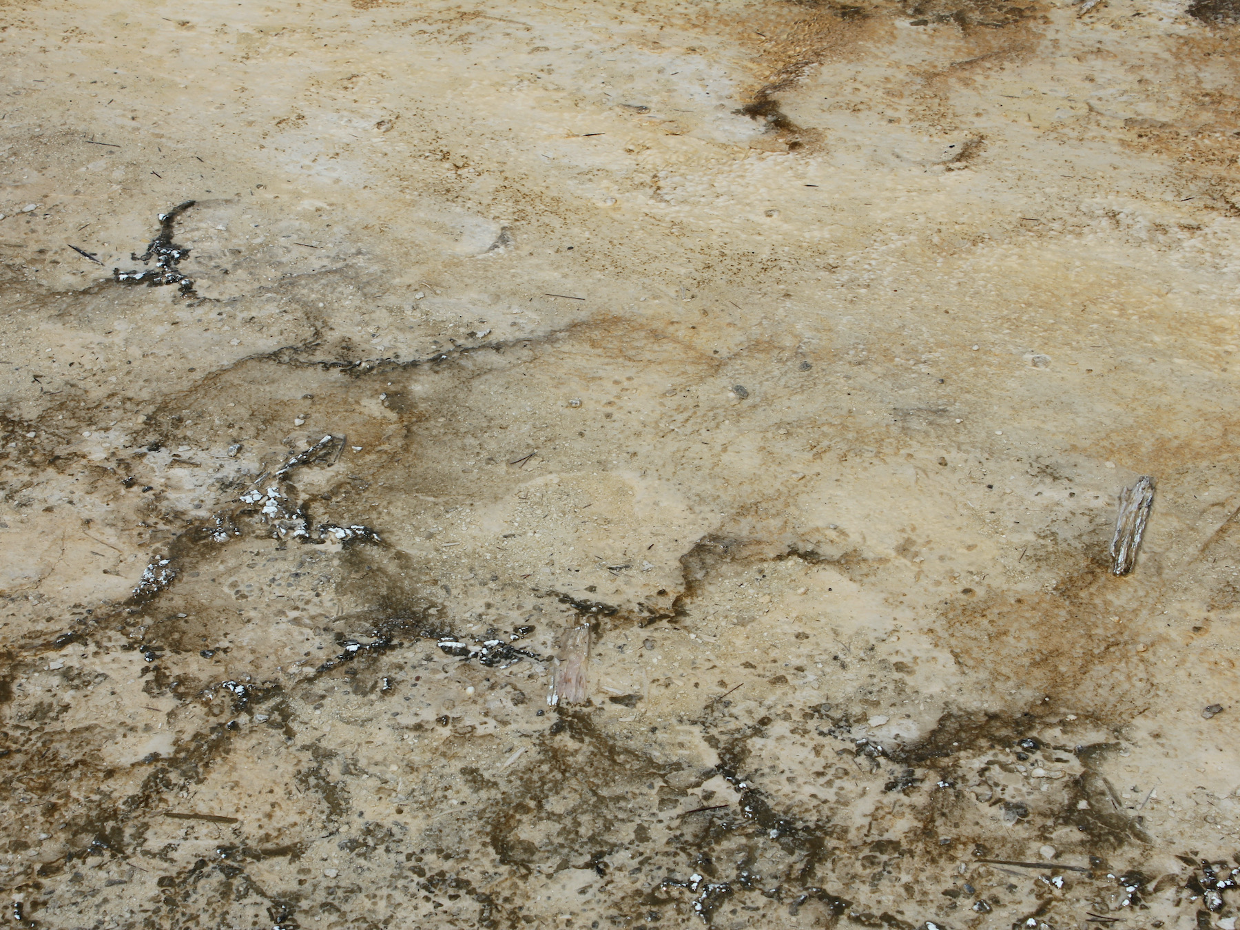 Yellowstone: A Fiery Nature