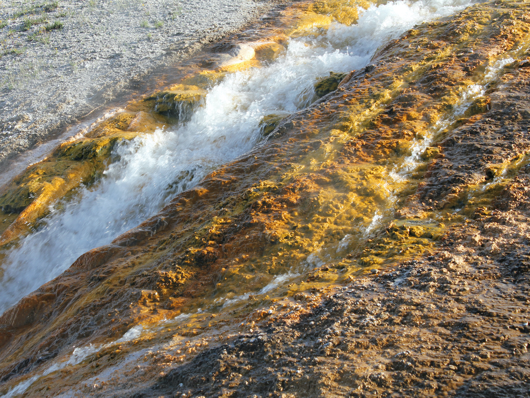 Yellowstone: A Fiery Nature