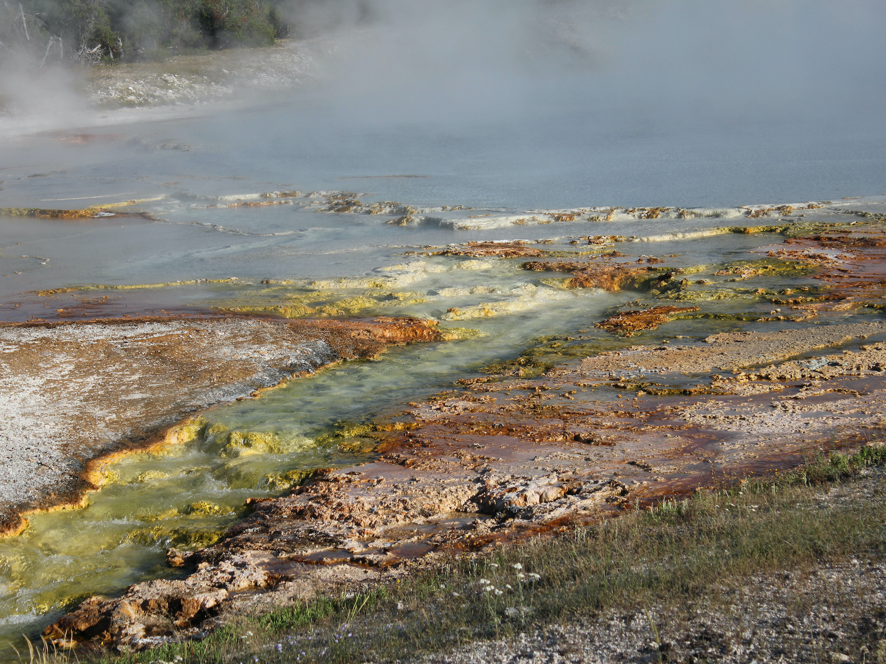 Yellowstone: A Fiery Nature