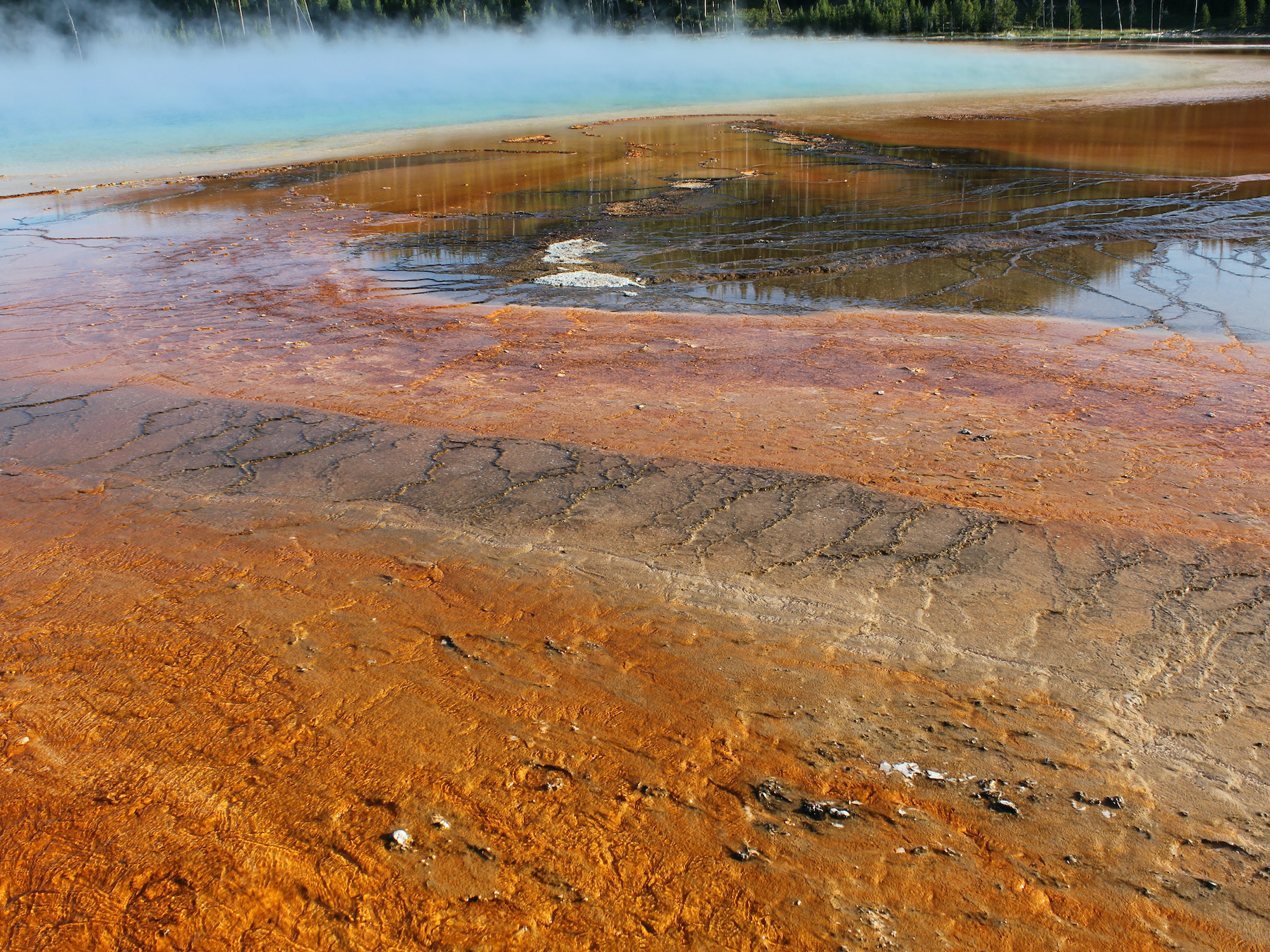 Yellowstone: A Fiery Nature