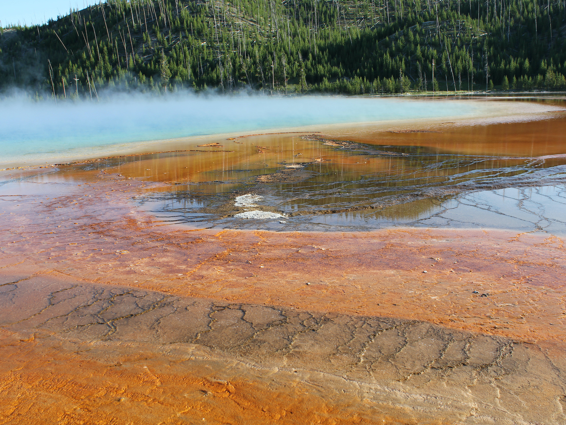 Yellowstone: A Fiery Nature