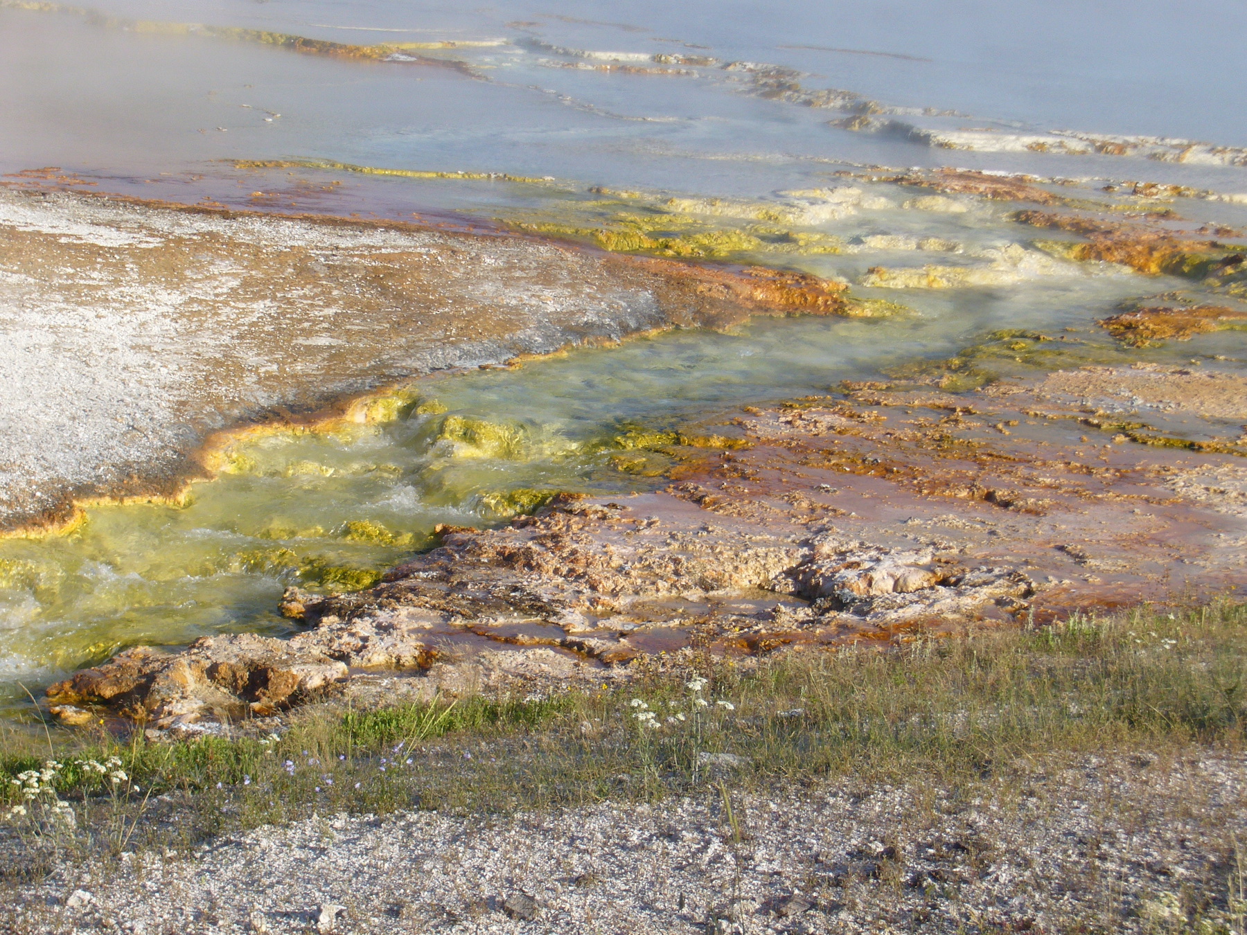 Yellowstone: A Fiery Nature
