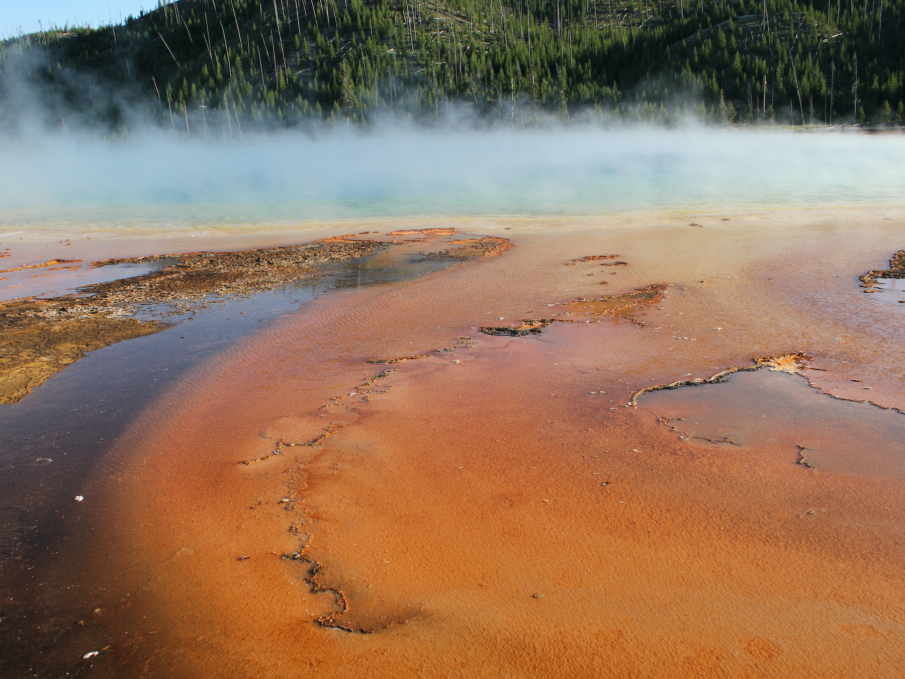 Yellowstone: A Fiery Nature