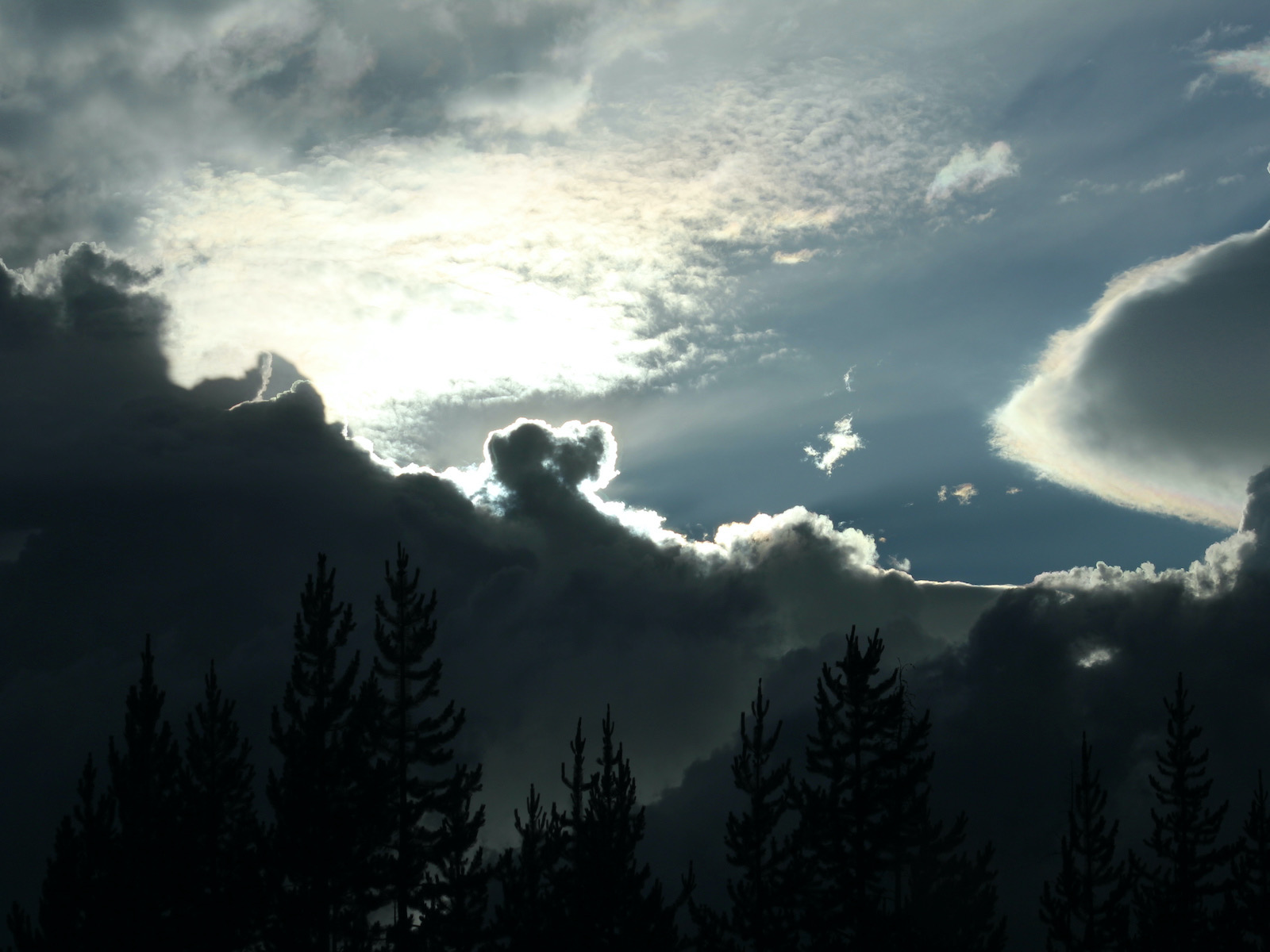 Yellowstone: A Fiery Nature