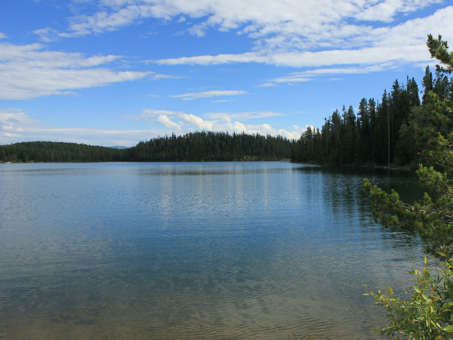 Yellowstone: A Fiery Nature
