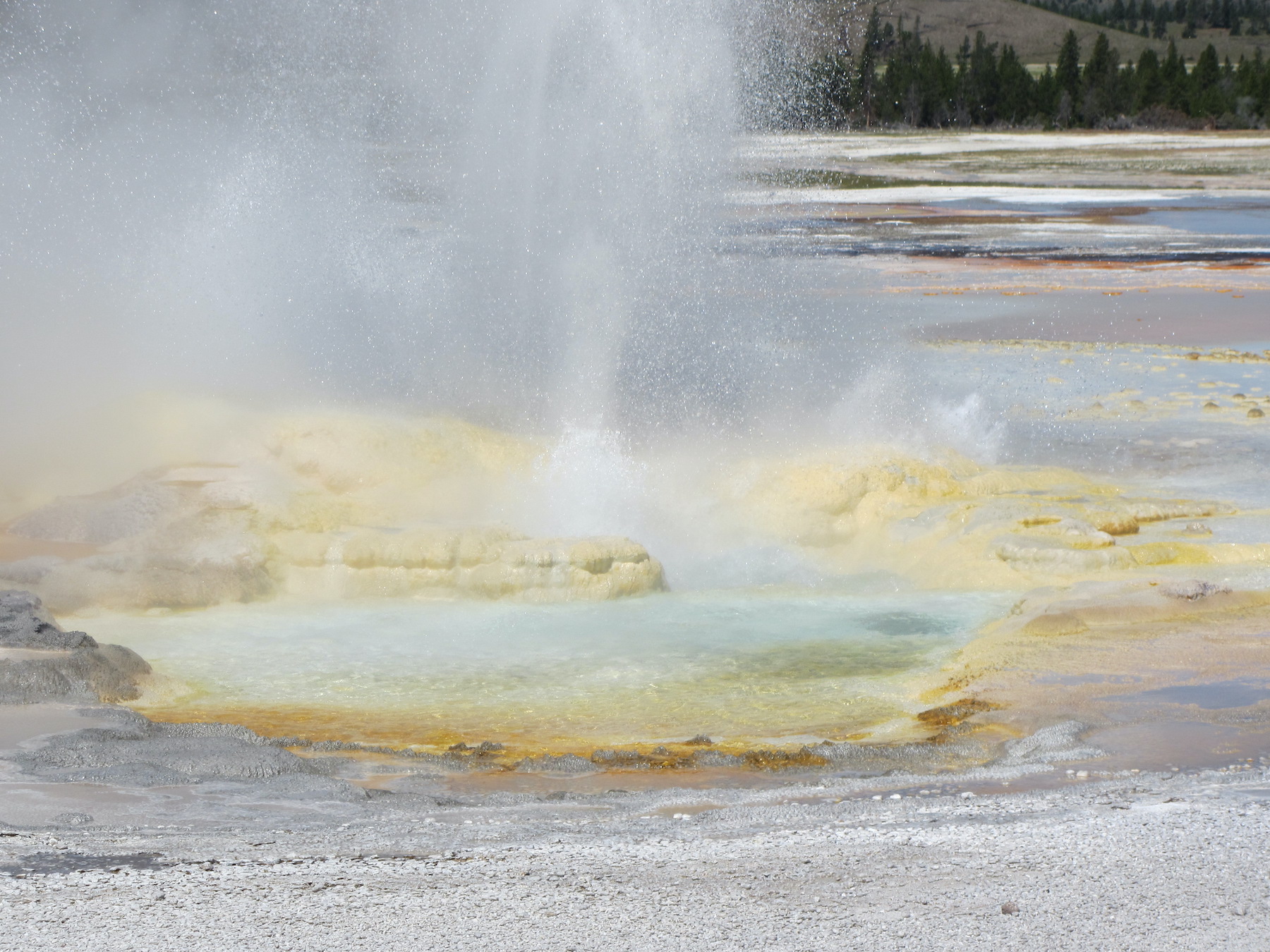 Yellowstone: A Fiery Nature