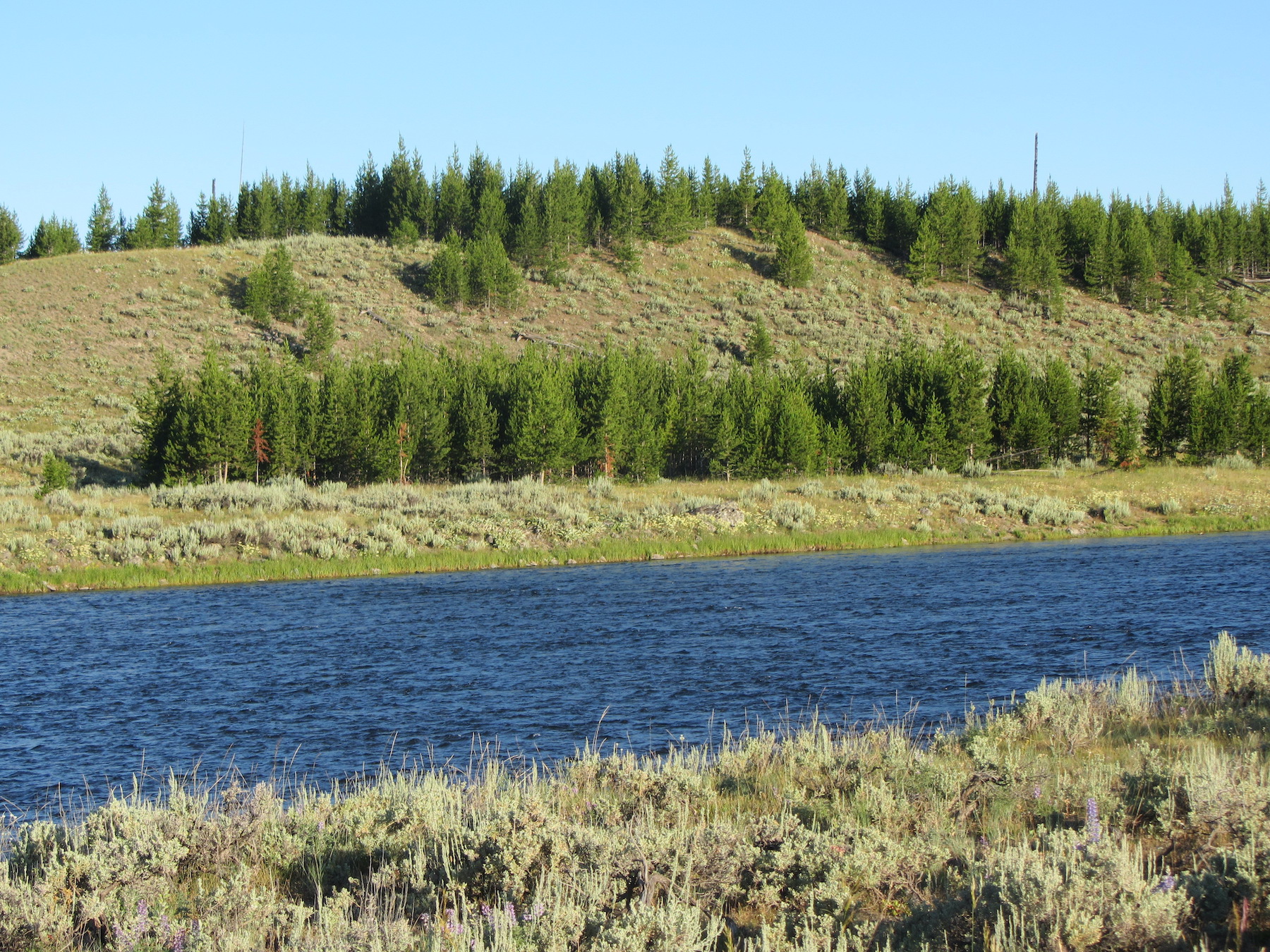 Yellowstone: A Fiery Nature