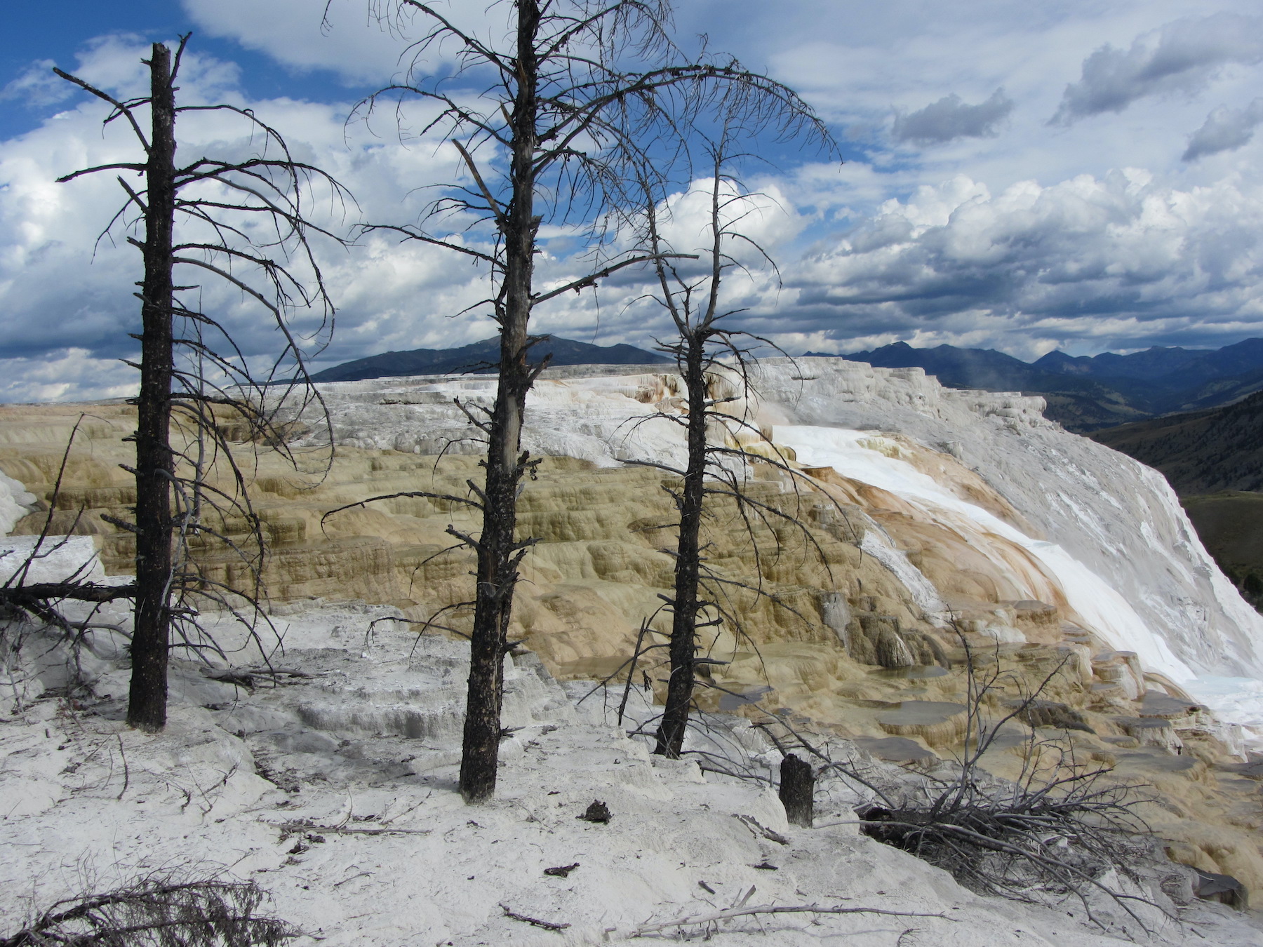 Yellowstone: A Fiery Nature