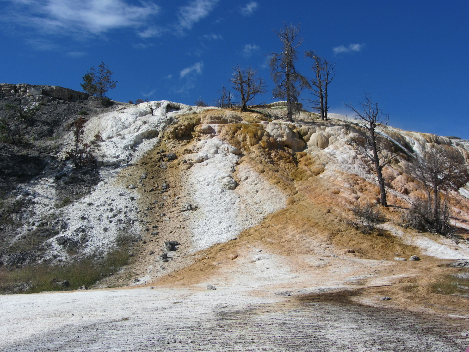 Yellowstone: A Fiery Nature