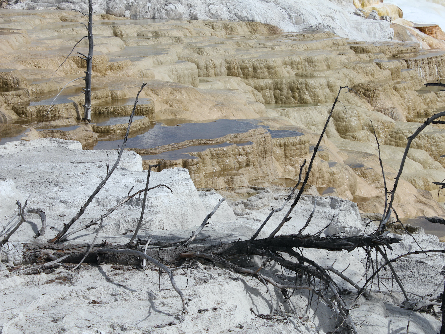 Yellowstone: A Fiery Nature
