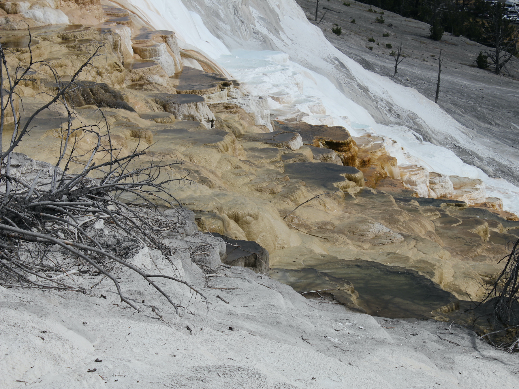 Yellowstone: A Fiery Nature